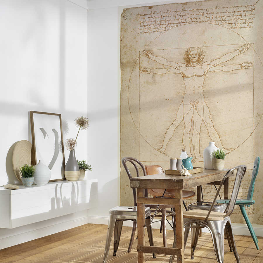         Photo wallpaper "The Vitruvian Man" by Leonardo da Vinci
    