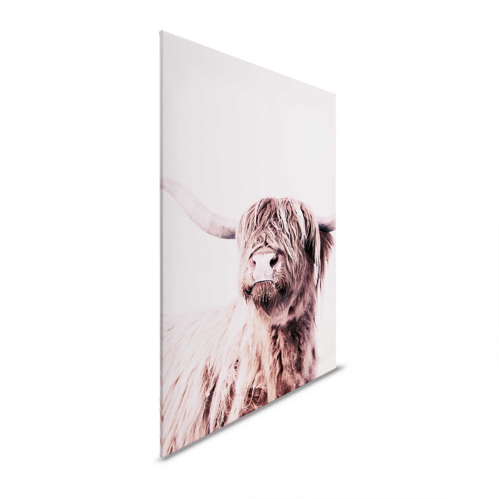 Canvas painting Highland Cattle Portrait in Sepia Style - 0,90 m x 0,60 m
