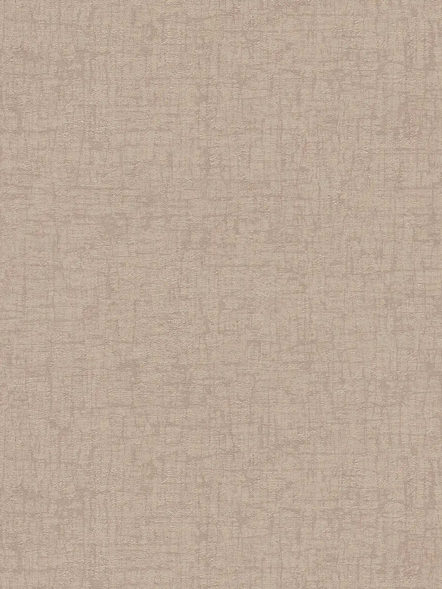 Textured non-woven wallpaper with a slight sheen - brown, beige
