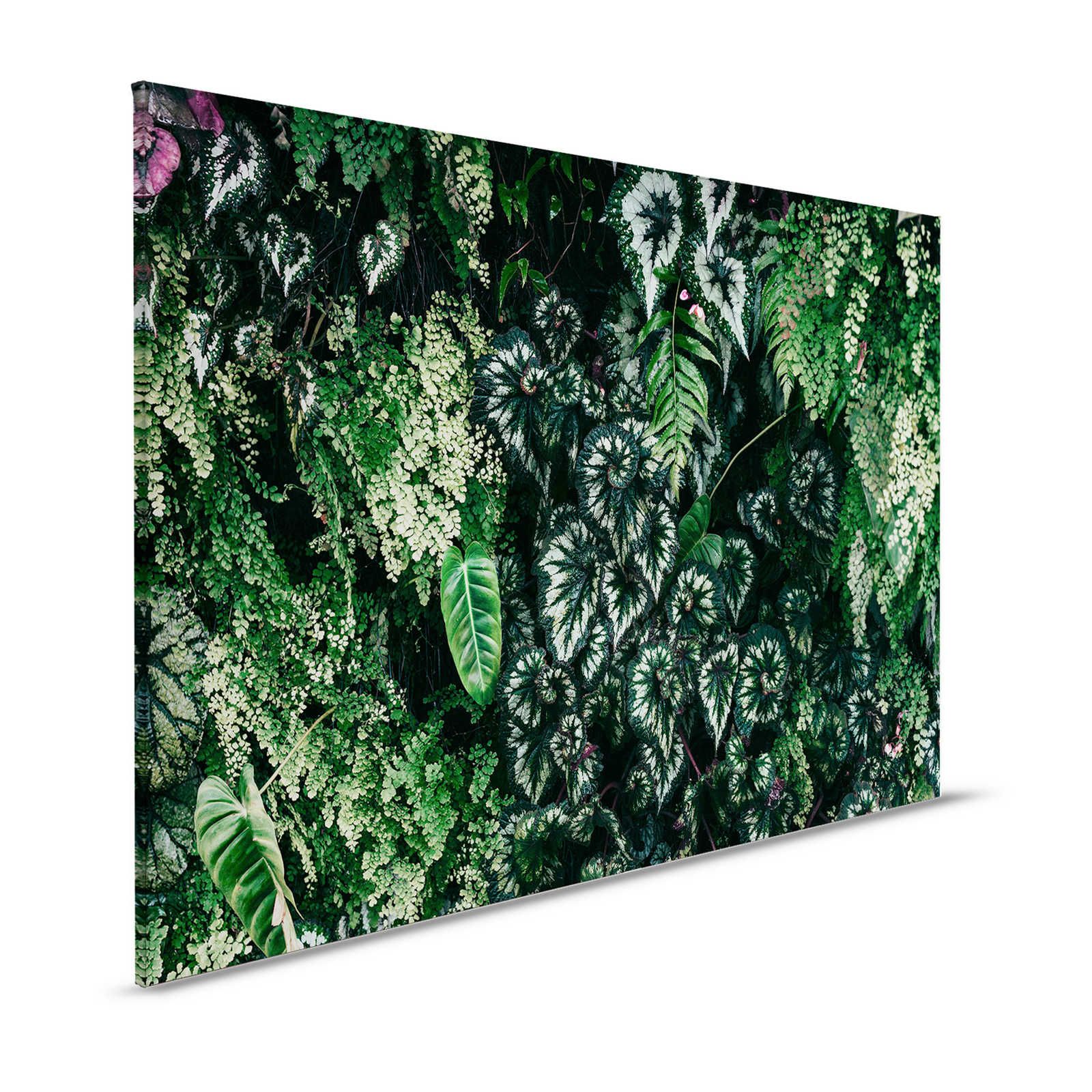 Deep Green 2 - Quadro su tela con foliage, felci e piante pendenti - 1,20 m x 0,80 m
