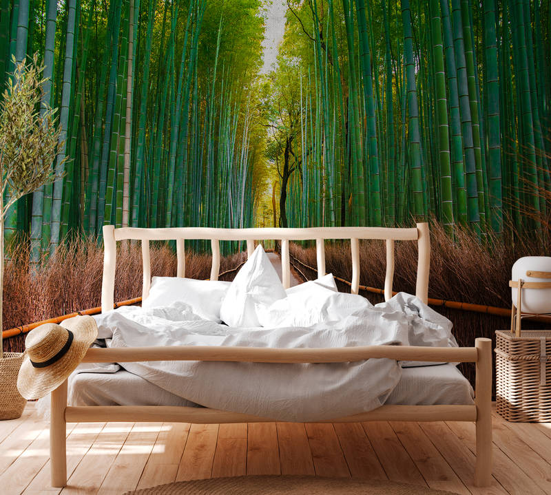             Papier peint à motifs naturels avec chemin de bambous - vert, marron
        