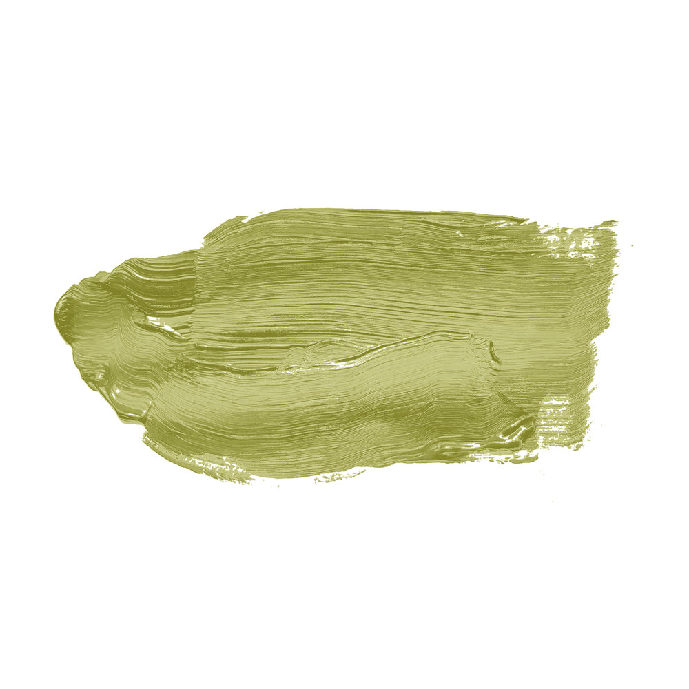             Wall Paint TCK4009 »Kitchy Kiwi« in bright yellow-green – 2.5 litre
        