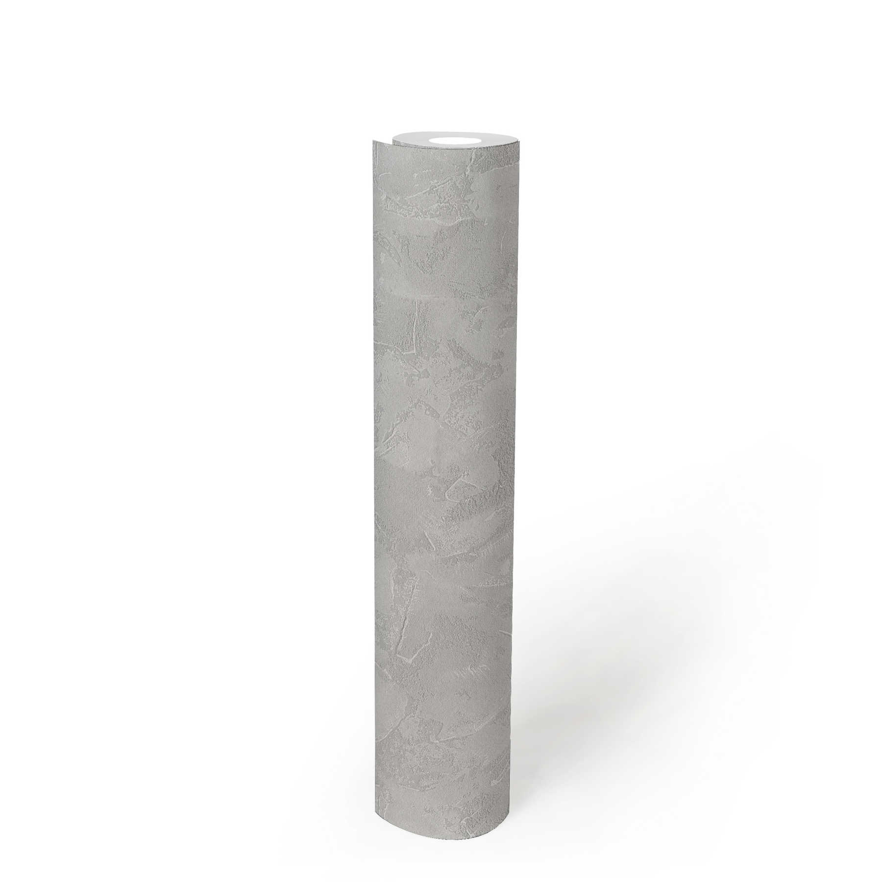             Papier peint intissé aspect plâtre à la truelle avec motifs structurés - gris
        