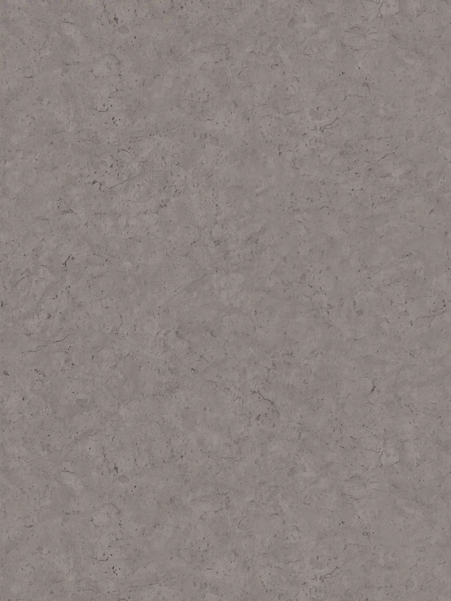 Donker eenheidsbehang met een subtiele betonlook - grijs
