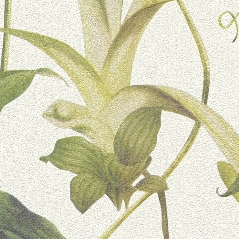             Papier peint intissé Fleurs tropicales de MICHALSKY - vert, crème
        