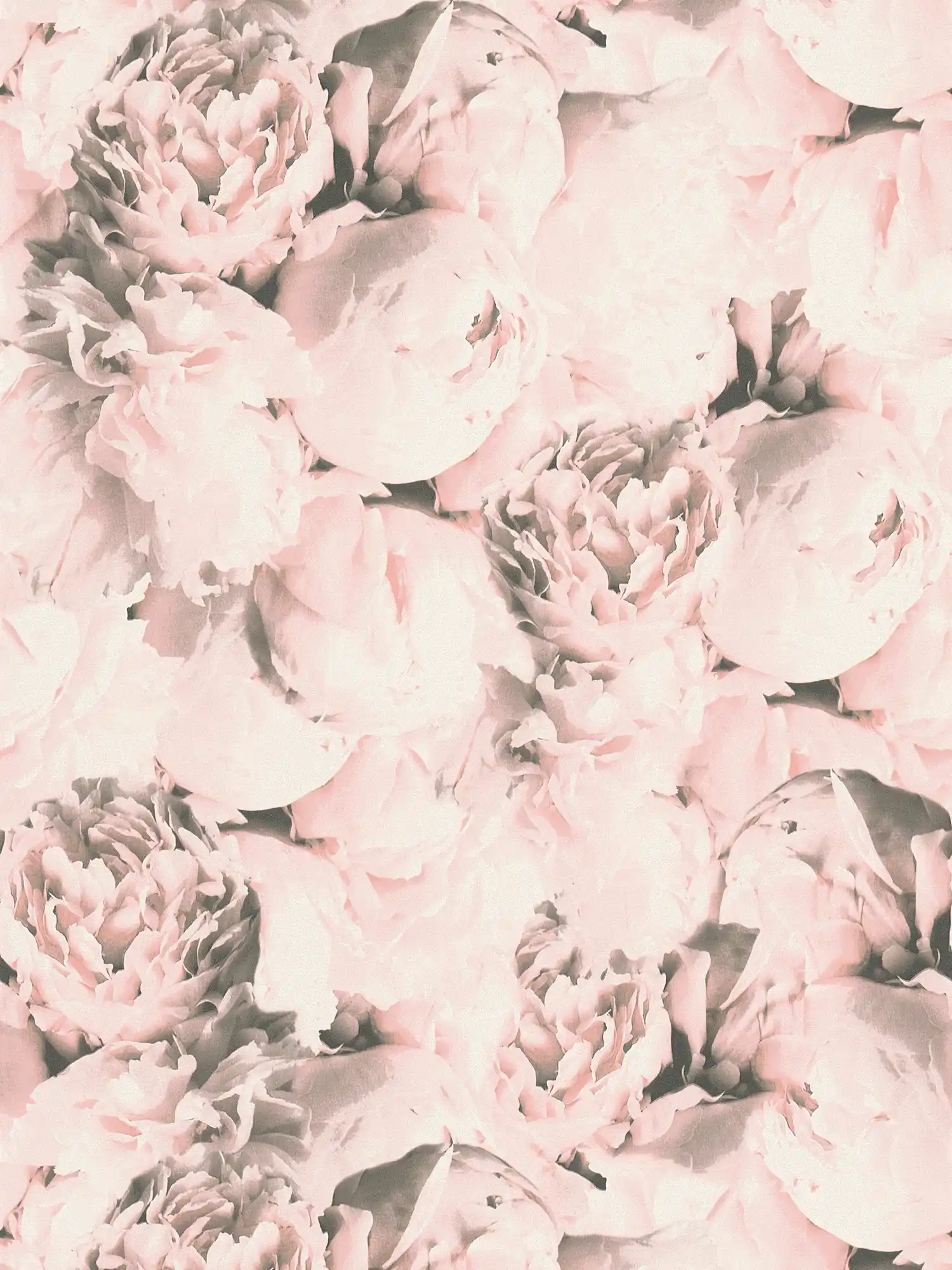 Bloemenbehang rozen met glanseffect - roze, crème
