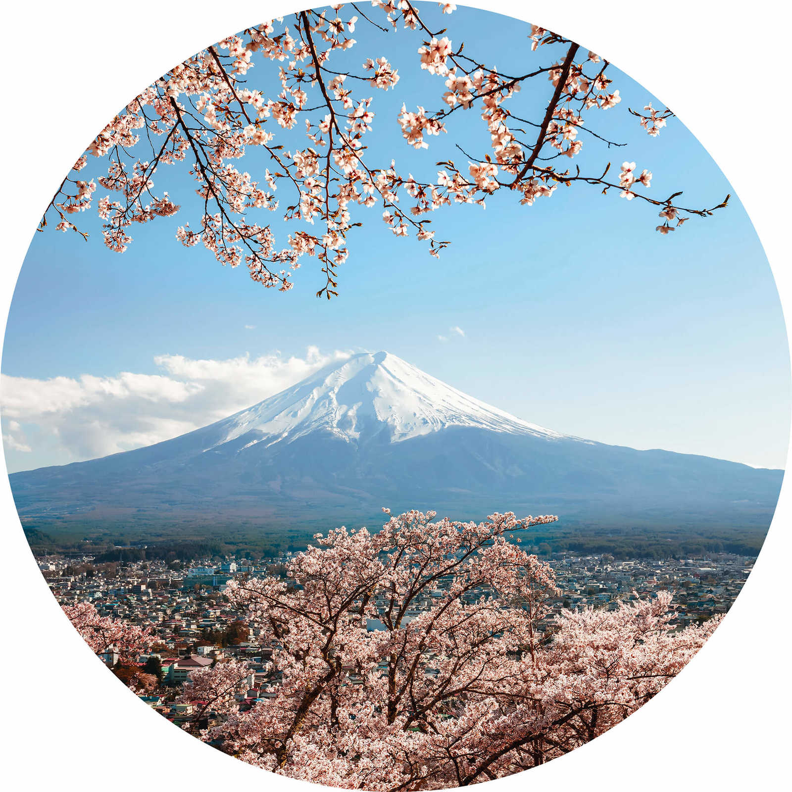         photo wallpaper around Mount Fuji in Japan
    