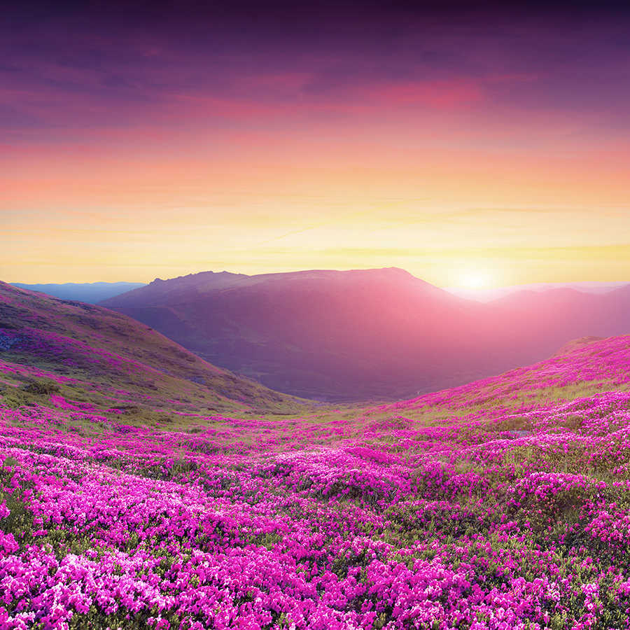 Papel pintado de la naturaleza prado de flores en las montañas en nácar liso
