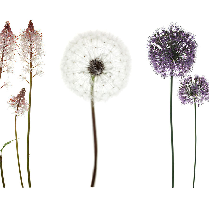 papiers peints à impression numérique avec diversité de fleurs - nacré intissé lisse
