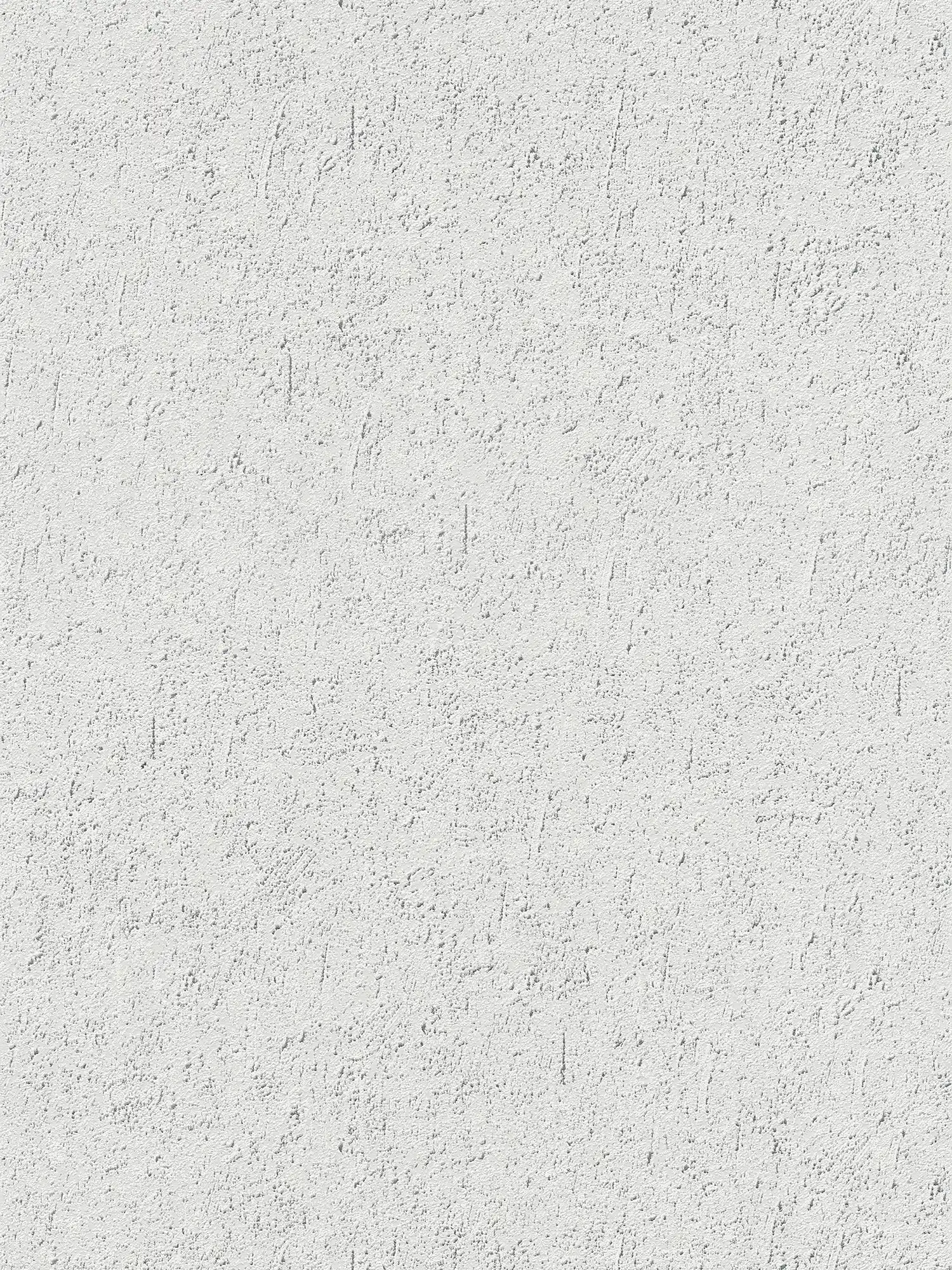 Light roughcast look with texture effect - grey
