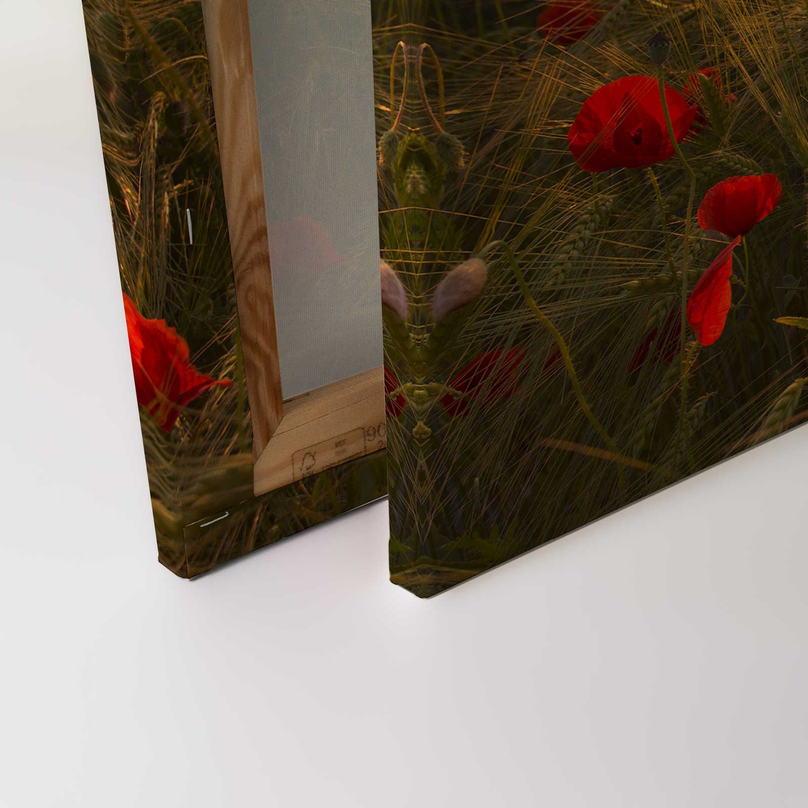             Quadro su tela Paesaggio con prato di papaveri - 0,90 m x 0,60 m
        
