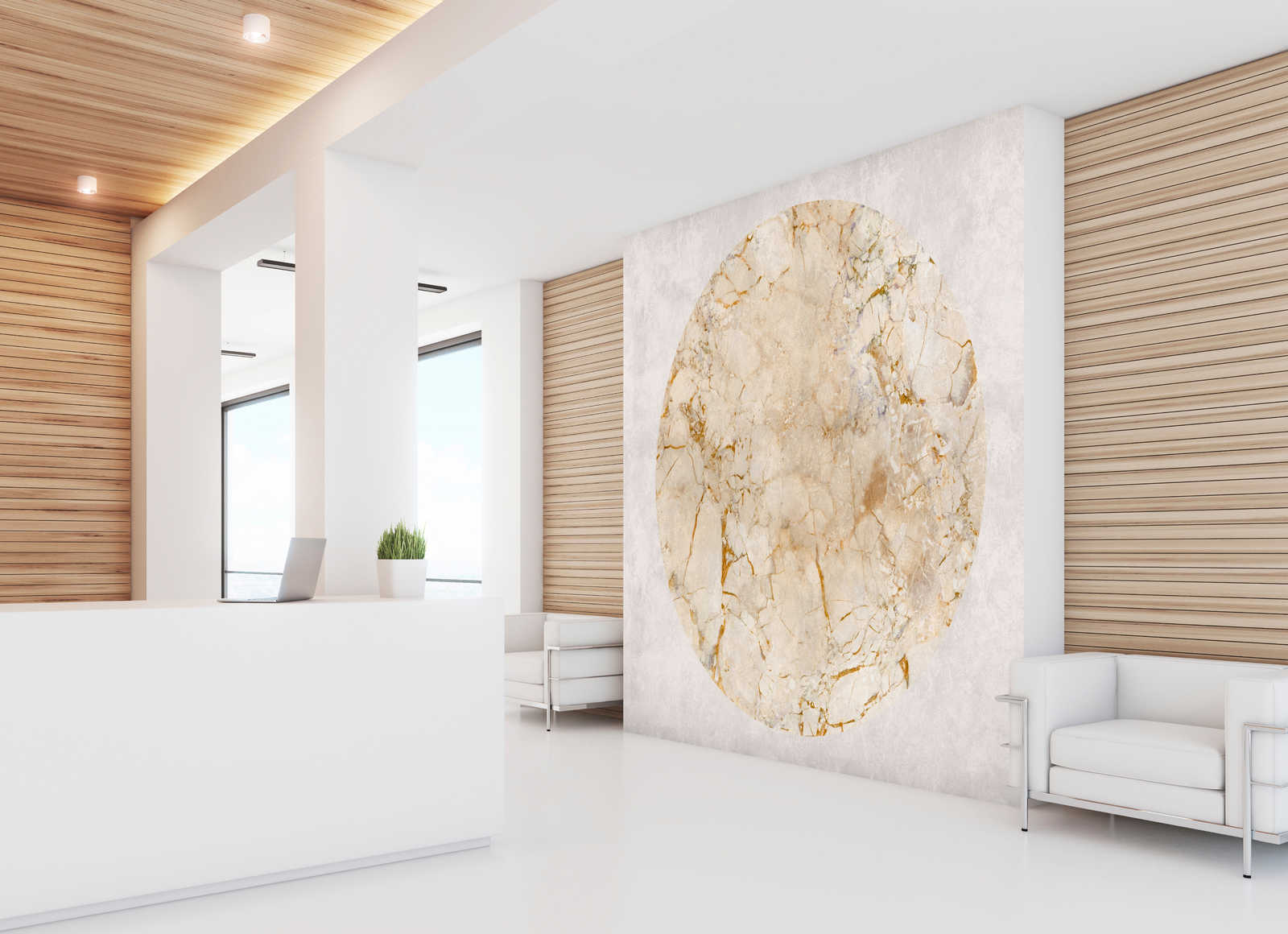             Venus 2 - papier peint marbre or motif & aspect pierre
        