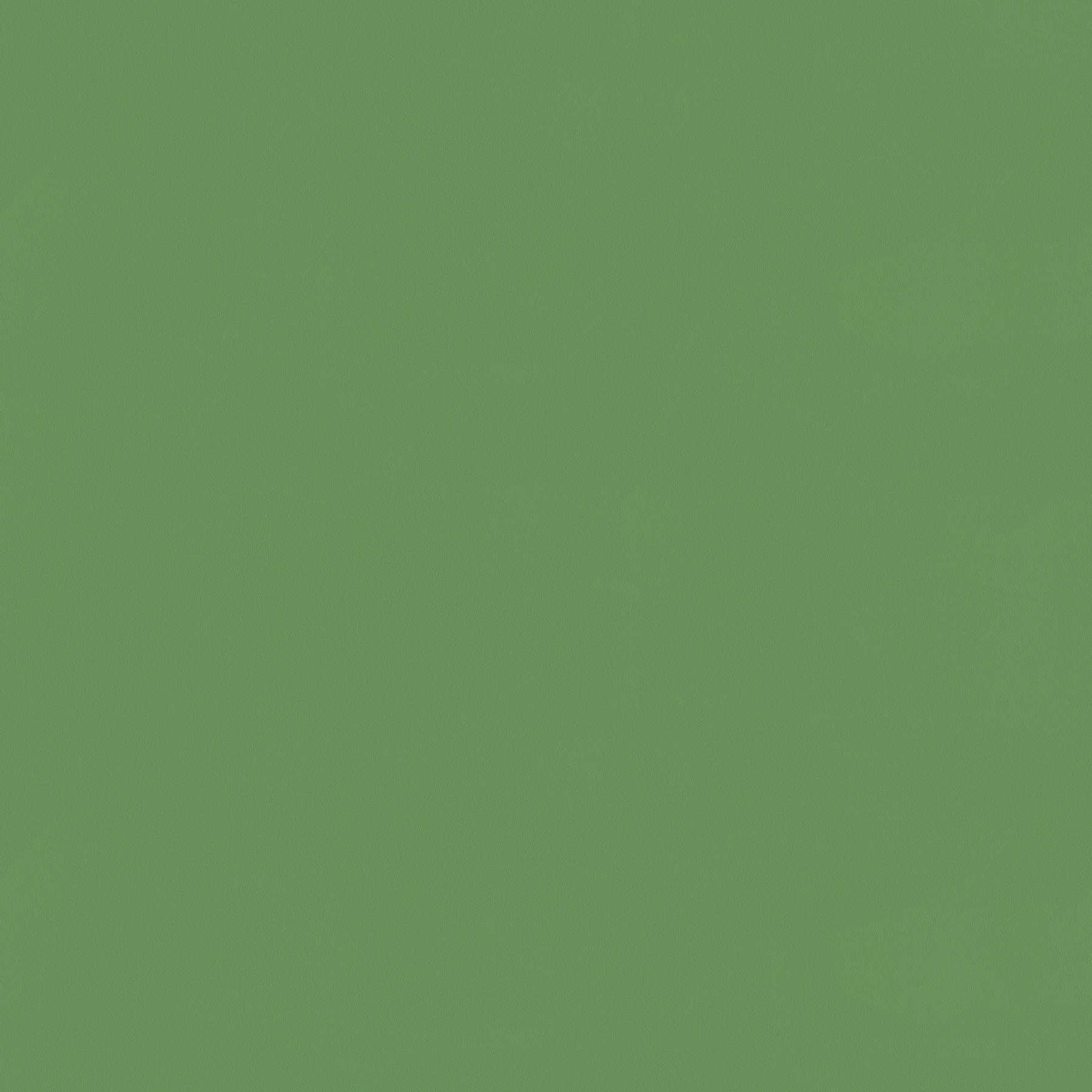         Premium wallpaper plain & matt - green
    