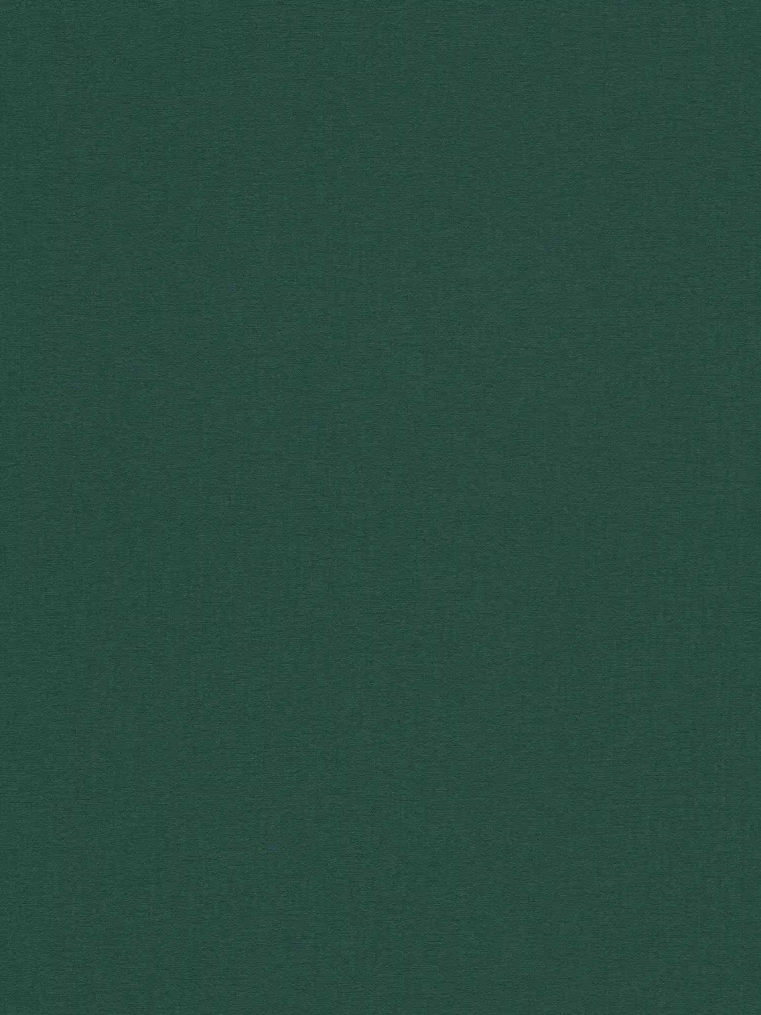 Papel pintado unitario con textura textil mate - verde, verde oscuro
