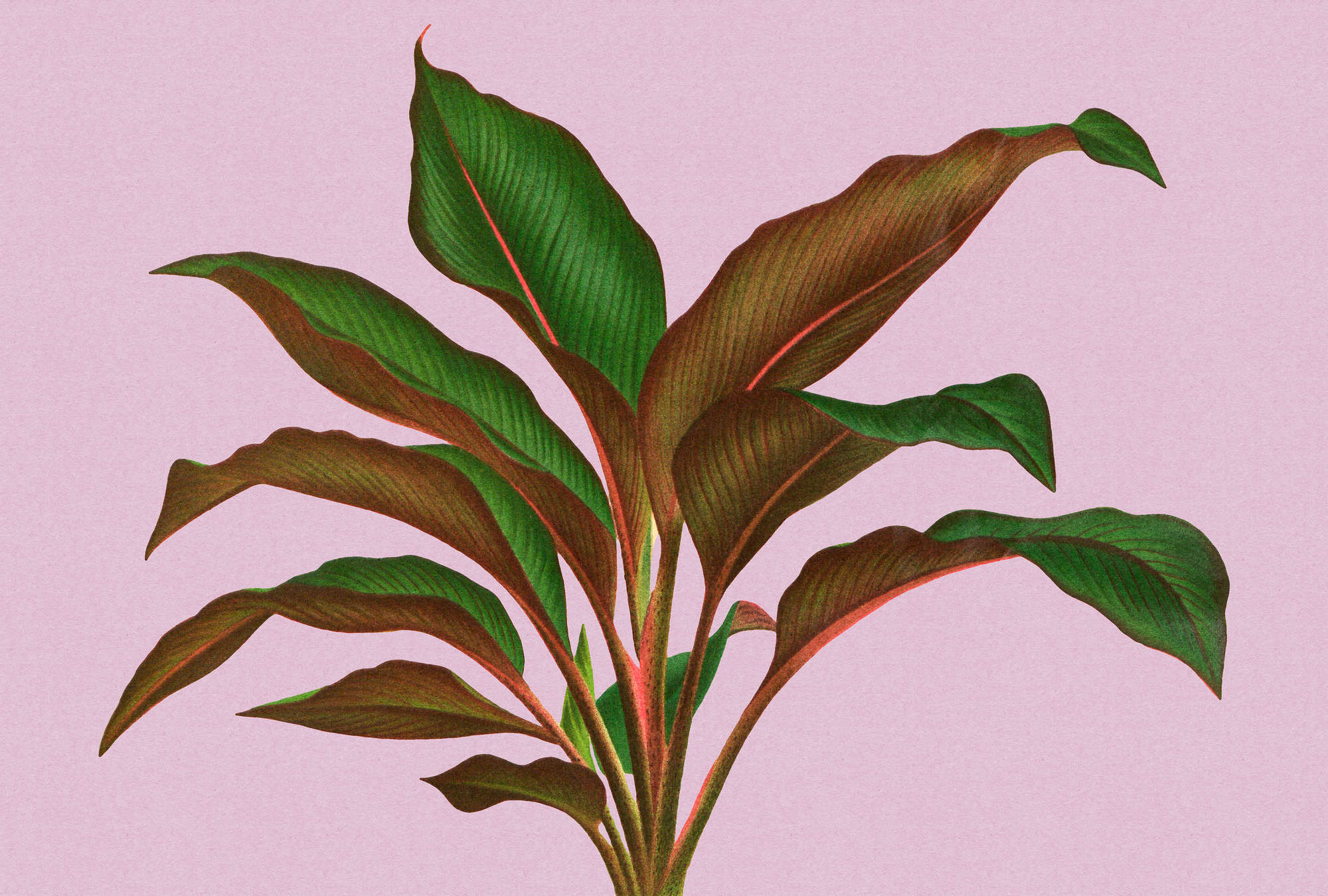             Leaf Garden 3 - Bladeren Behang Roze met Tropisch Varenblad
        