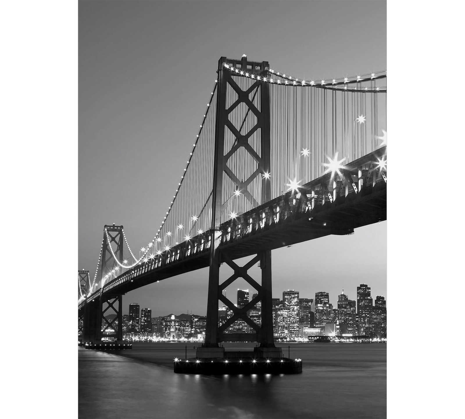         San Francisco photo wallpaper black and white, portrait format
    