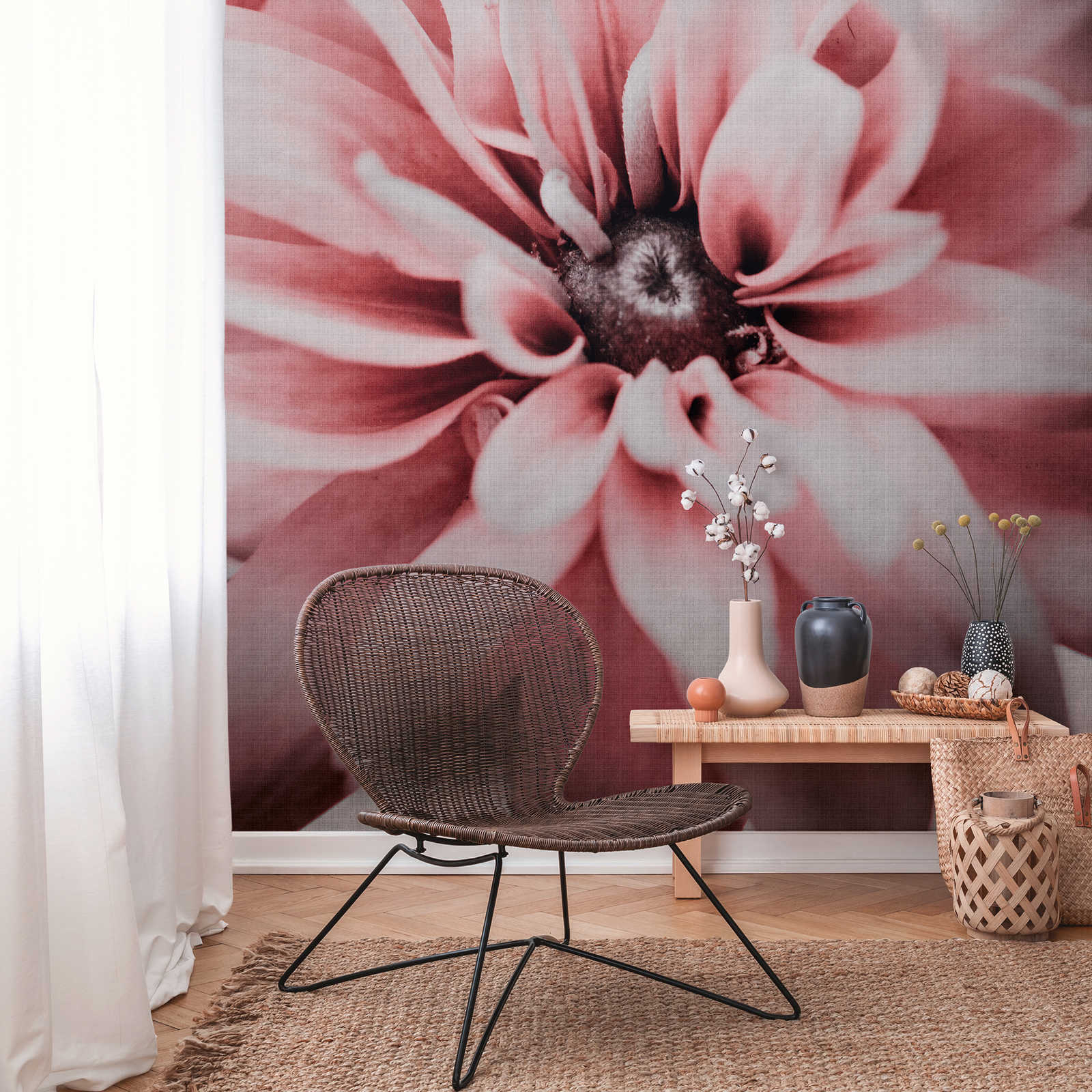 Wallpaper novelty | motif wallpaper flowers, XXL daisies delicate pink
