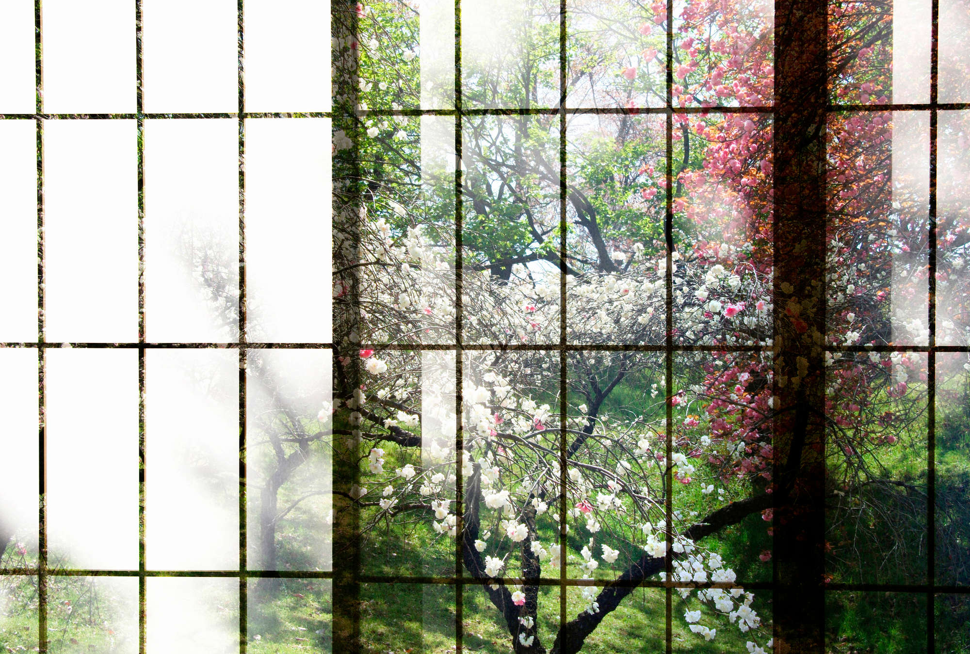             Orchard 2 - Photo wallpaper, Window with garden view - Green, Pink | Matt smooth fleece
        