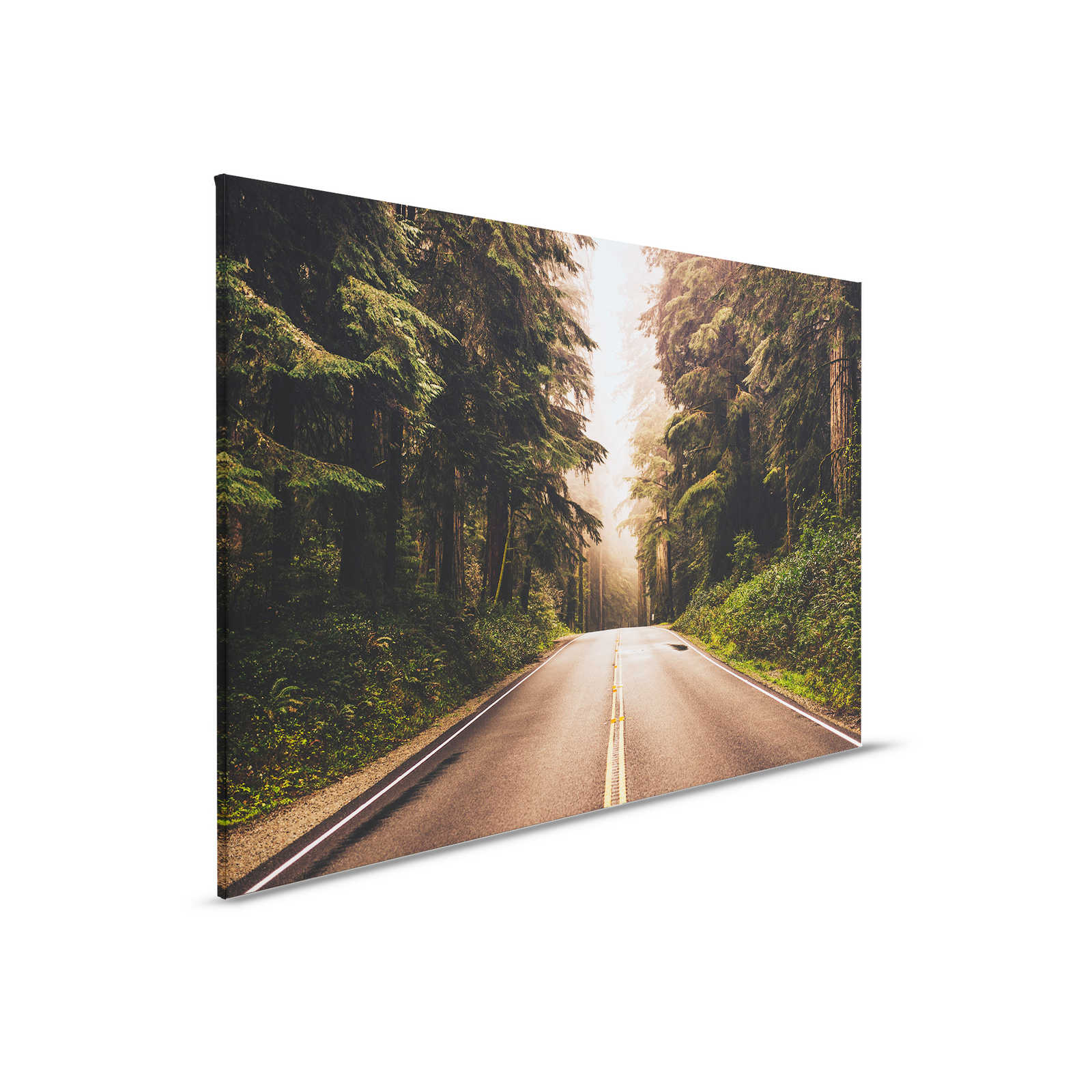         Canvas with American Highway in the Forest - 0.90 m x 0.60 m
    
