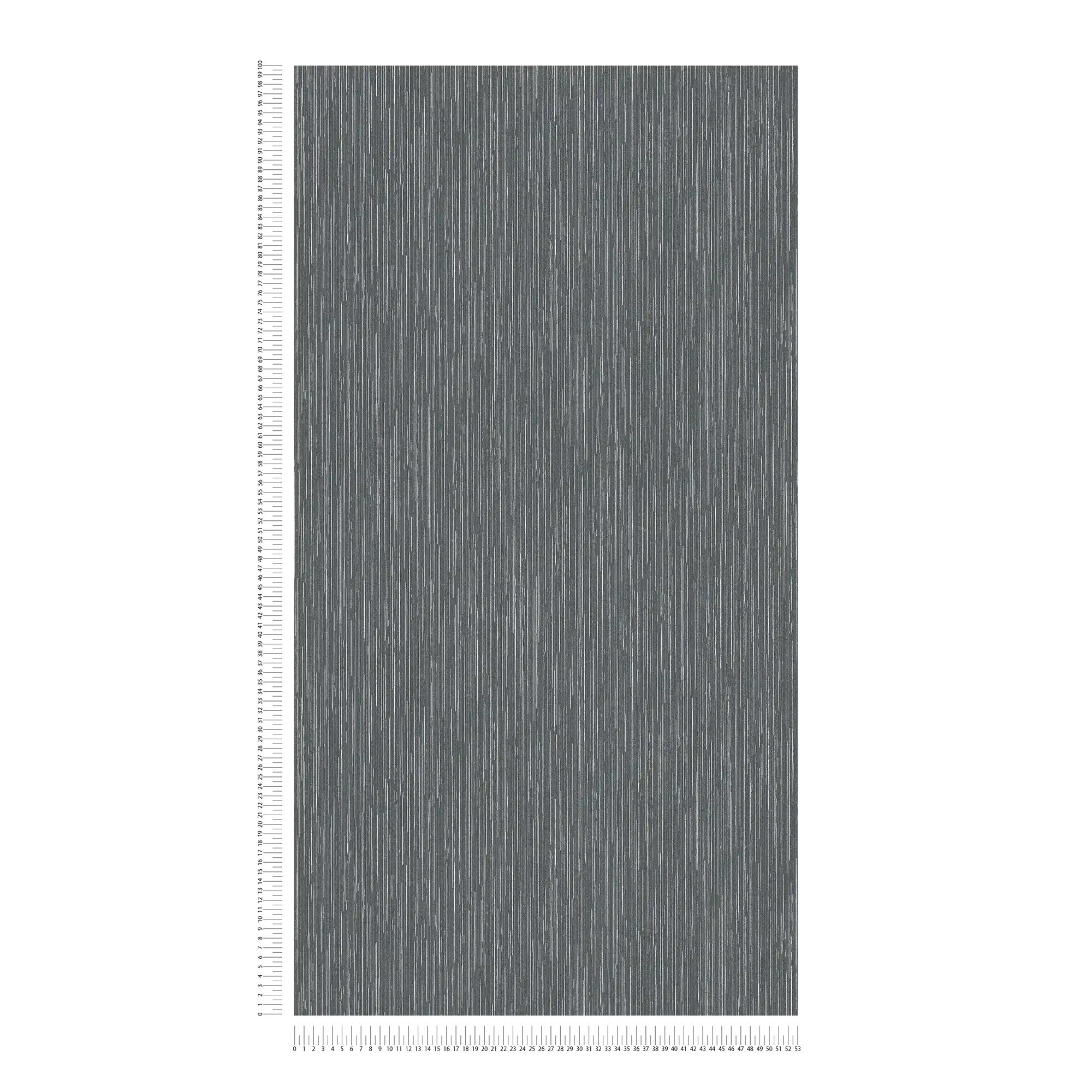             Carta da parati antracite con accenti argentati e design a linee - nero, metallizzato
        
