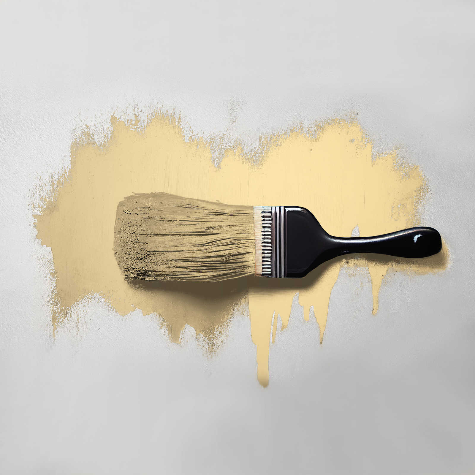             Pintura mural TCK5004 »Gentel Ginger« en amarillo delicado – 5,0 litro
        