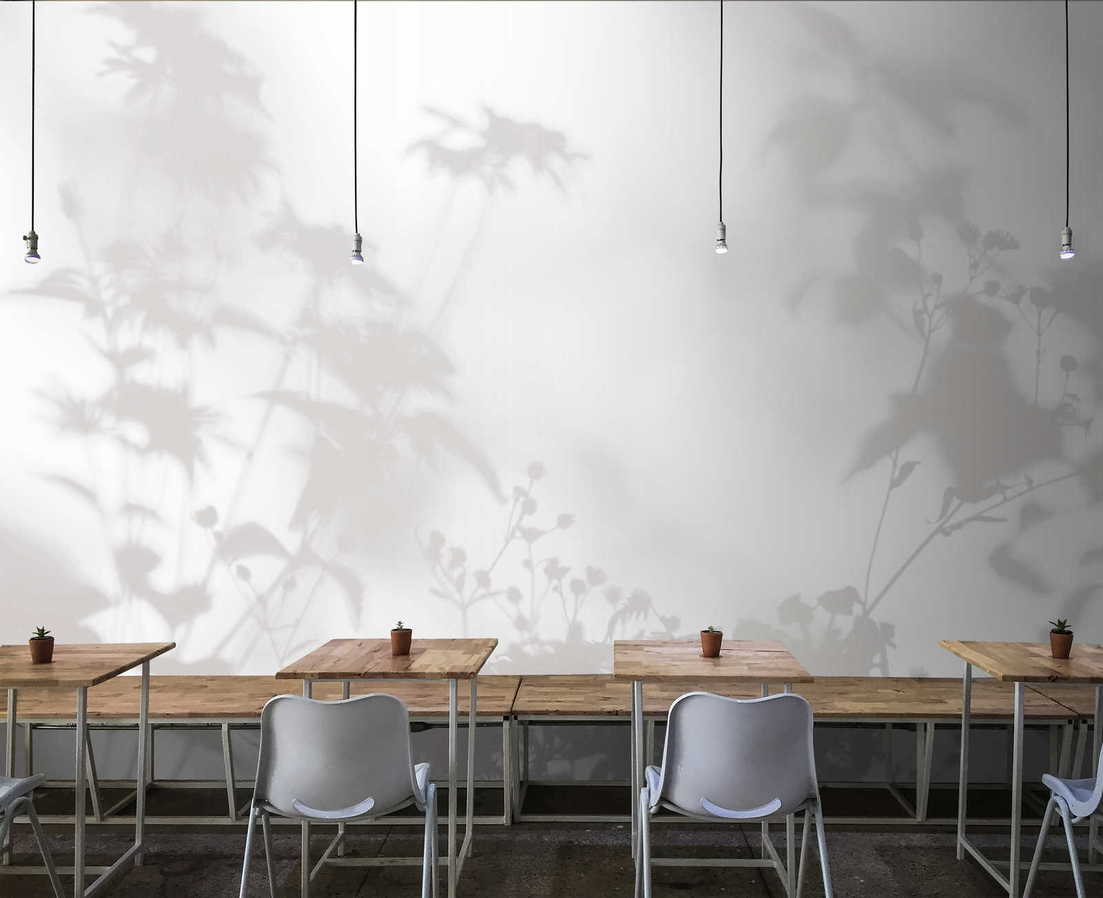             Shadow Room 2 - Papier peint nature gris et blanc, design délavé
        