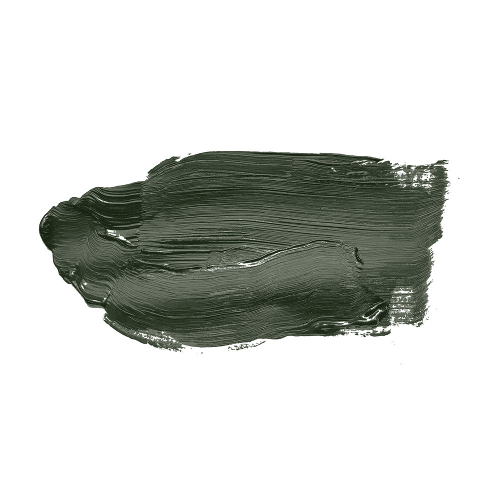             Wall Paint TCK4006 »Zippy Zuchini« in intensive dark green – 2.5 litre
        