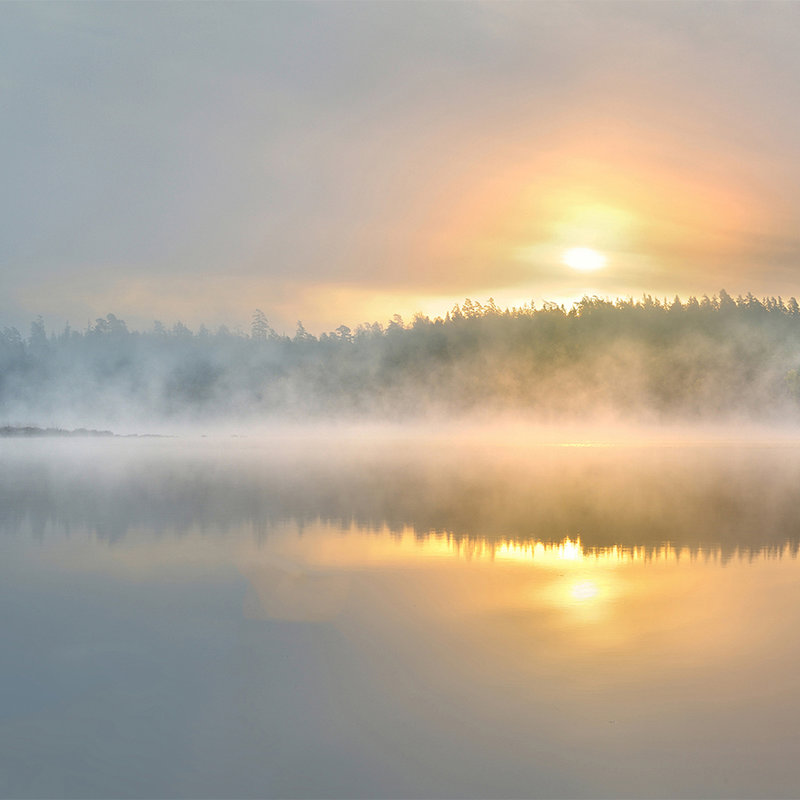 Photo wallpaper foggy morning at the lake - mother of pearl smooth fleece
