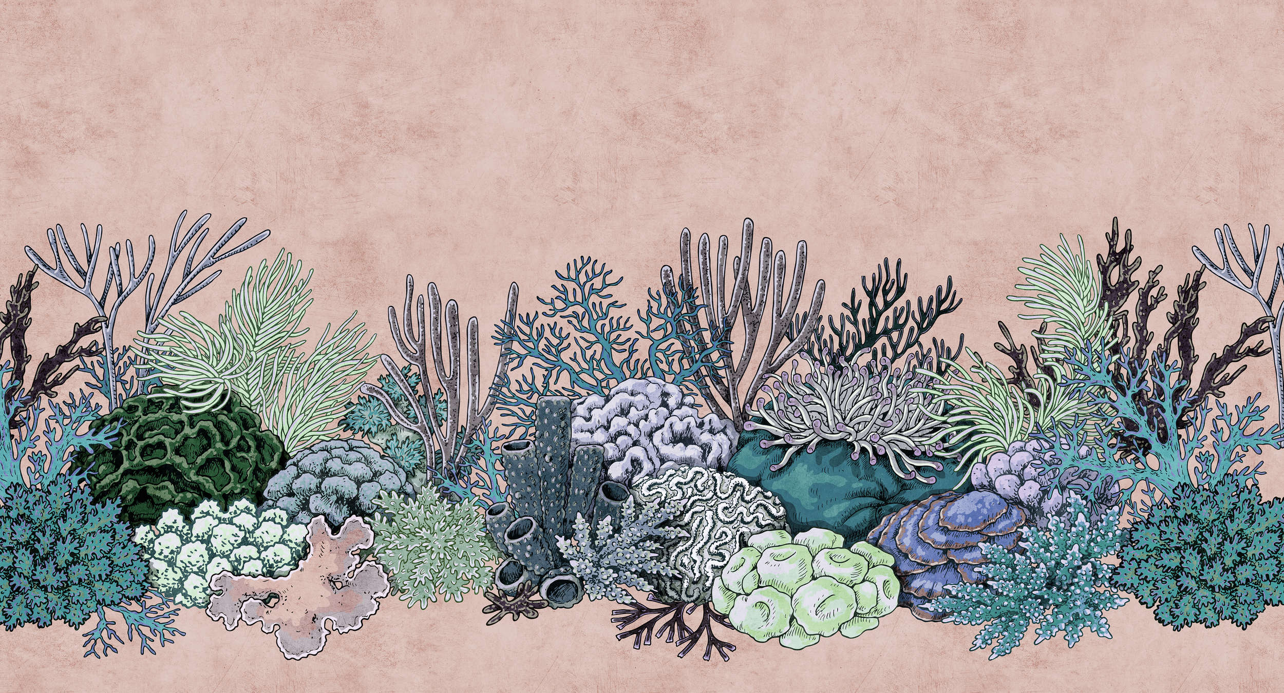             Octopus's Garden 2 - Koraalbehang in vloeipapierstructuur in tekenstijl - groen, roze | parelmoerachtig glad vlies
        