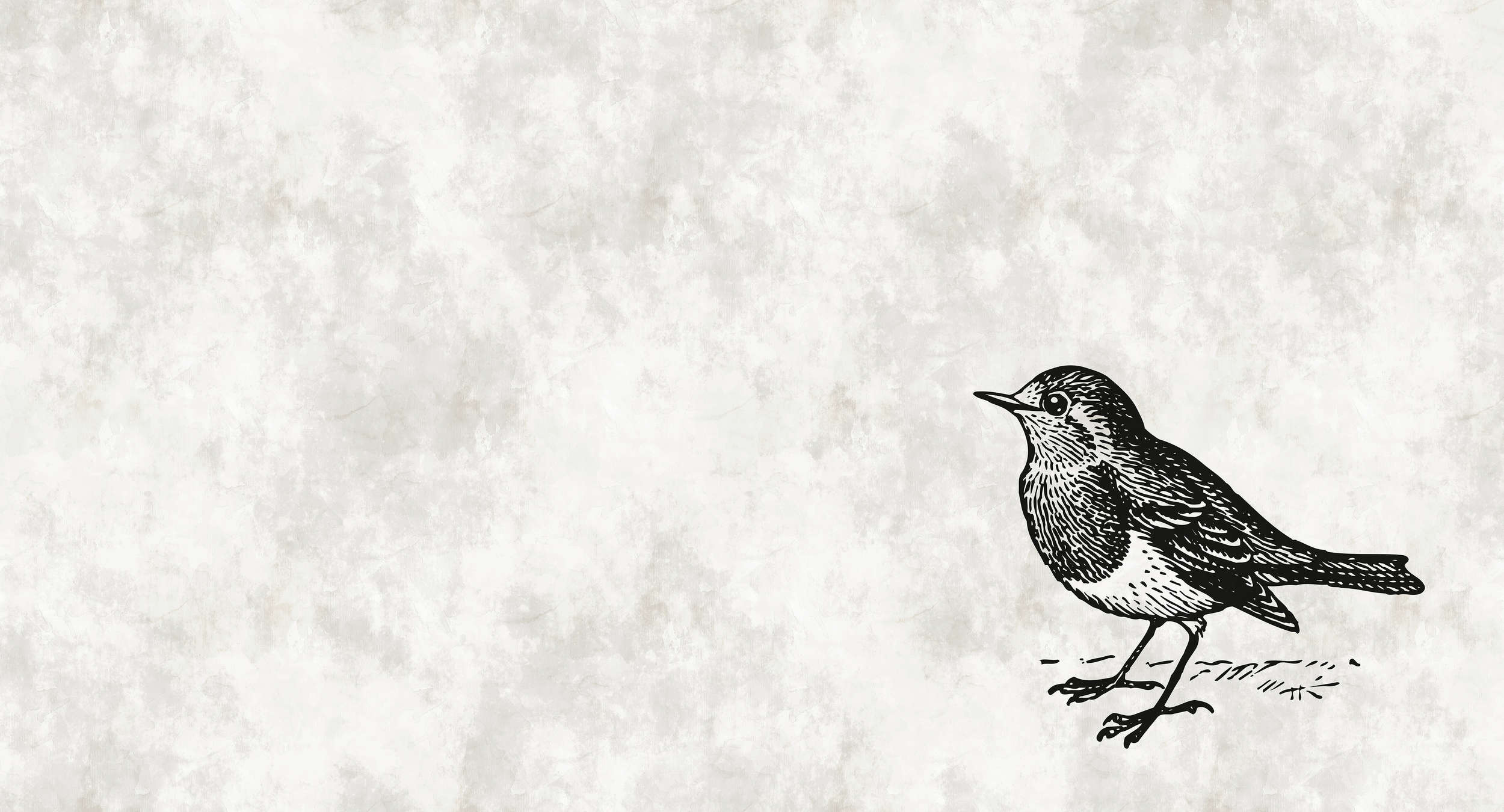            Papel pintado blanco y negro con pájaro - Walls by Patel
        