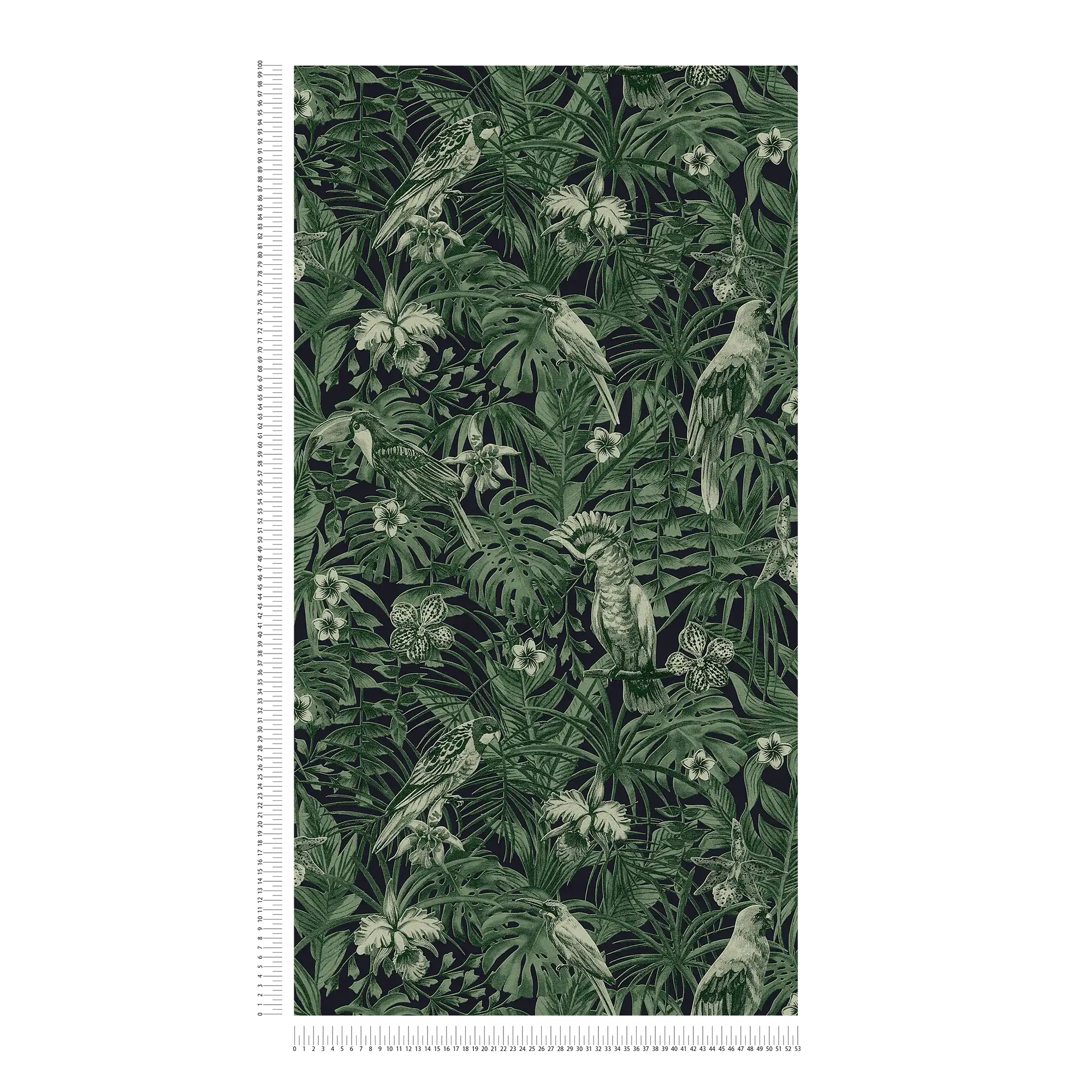             carta da parati uccelli tropicali e fiori esotici - verde, nero
        