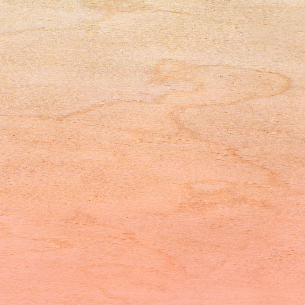             Atelier 2 - Papier peint rose effet ombré & grain de bois
        