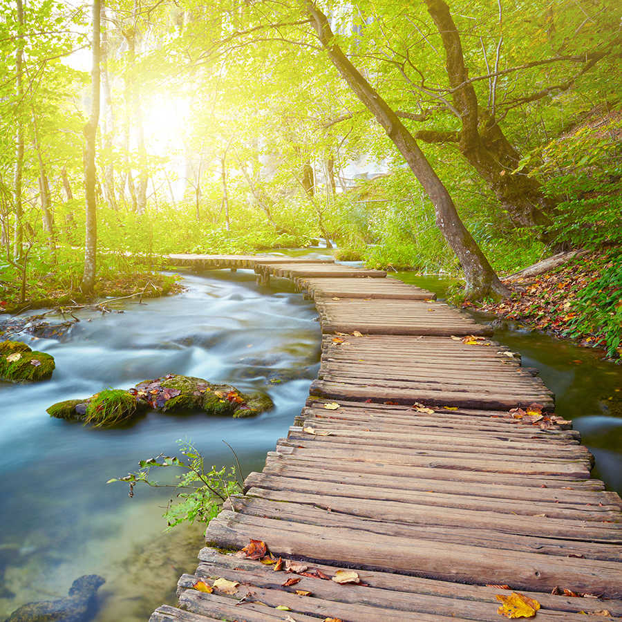 Natuurbehang rivier in het bos met houten brug op parelmoer glad vlies

