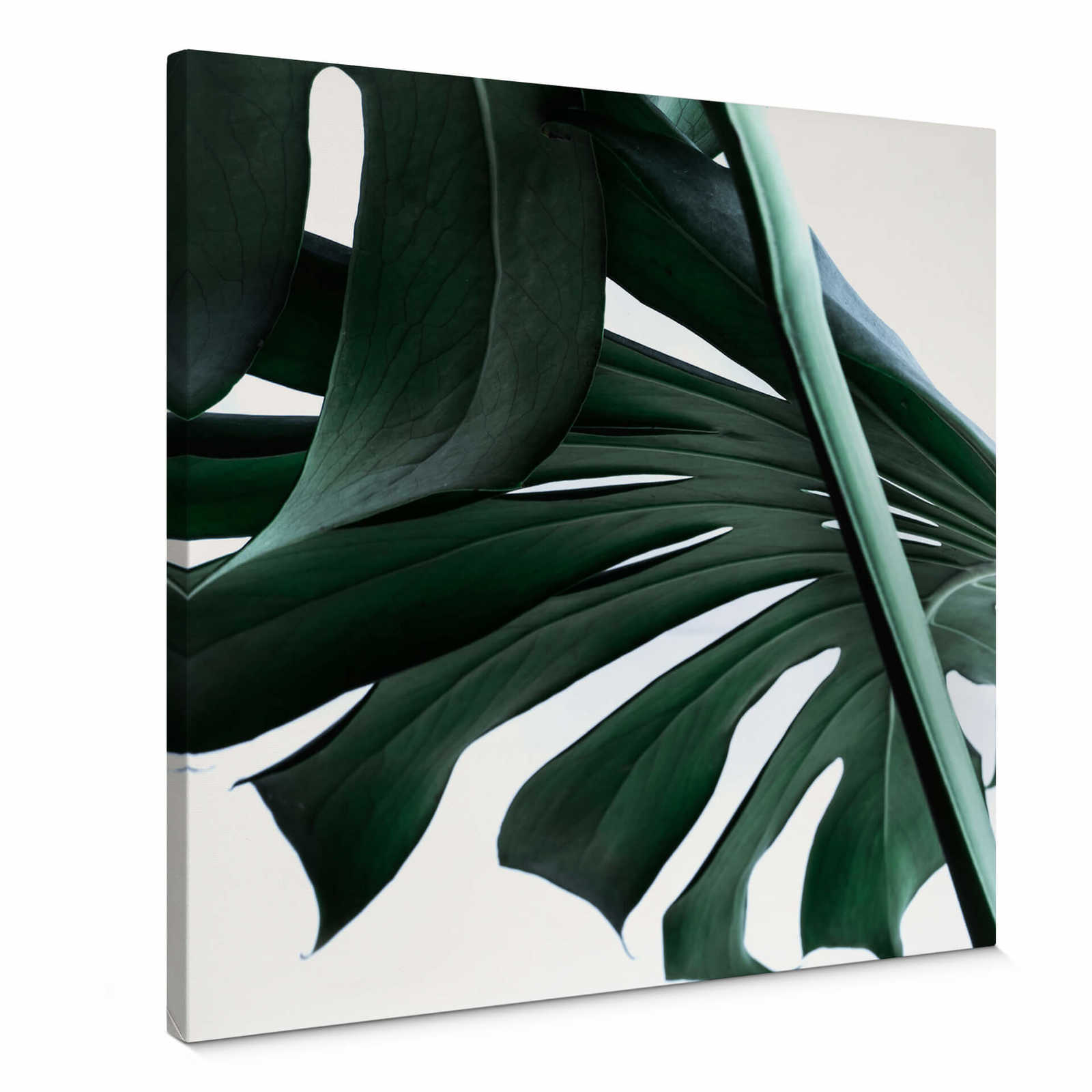 Square Canvas print with leaf motif and jungle look
