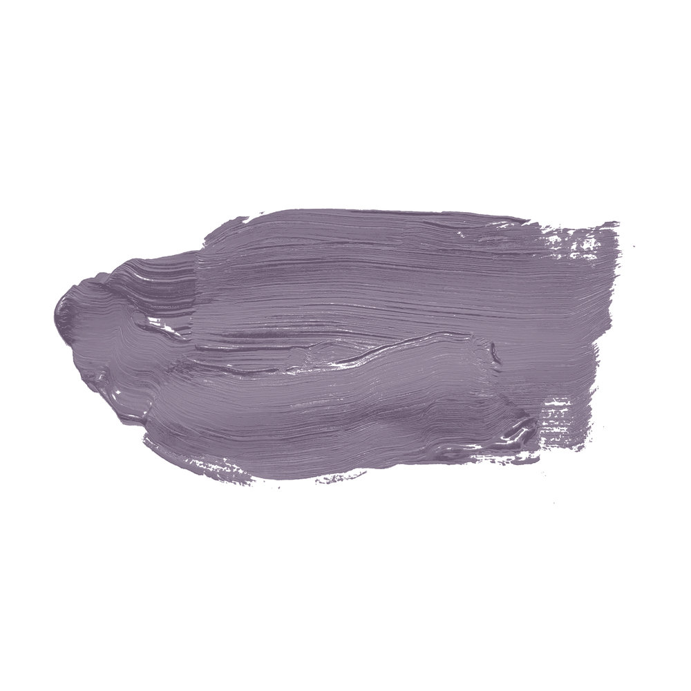             Pintura mural TCK2006 »Artful Aubergine« en violeta fuerte – 2,5 litro
        