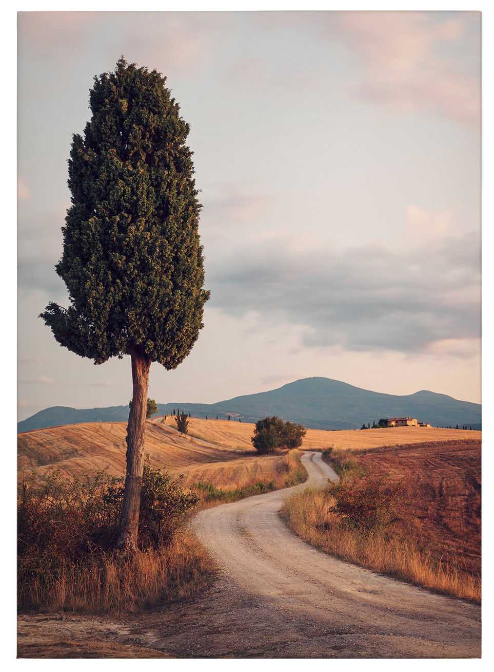             Canvas print cypress road in Italy , photo at sunset
        