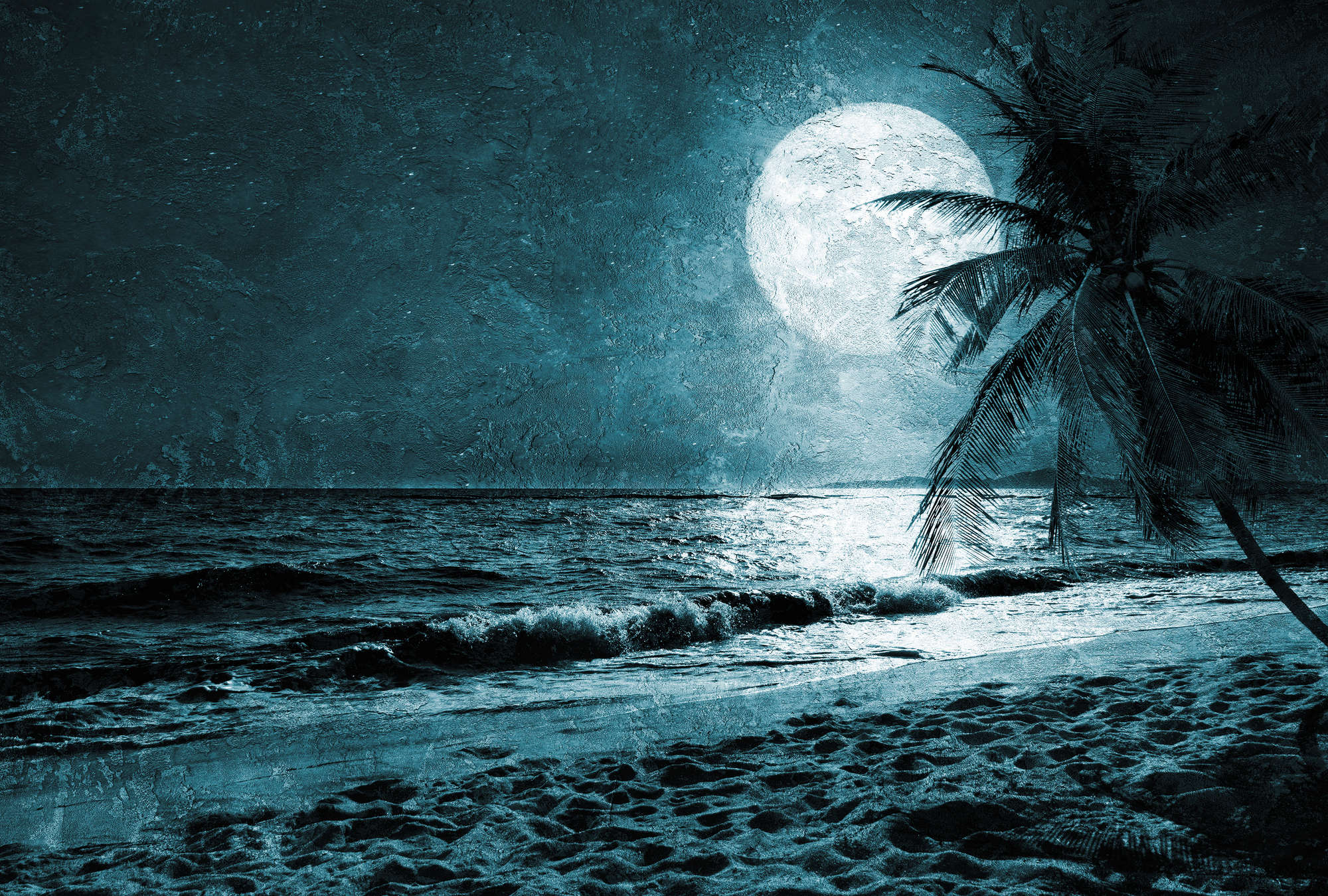             Beach mural with palm trees & sea at night - blue, white, black
        