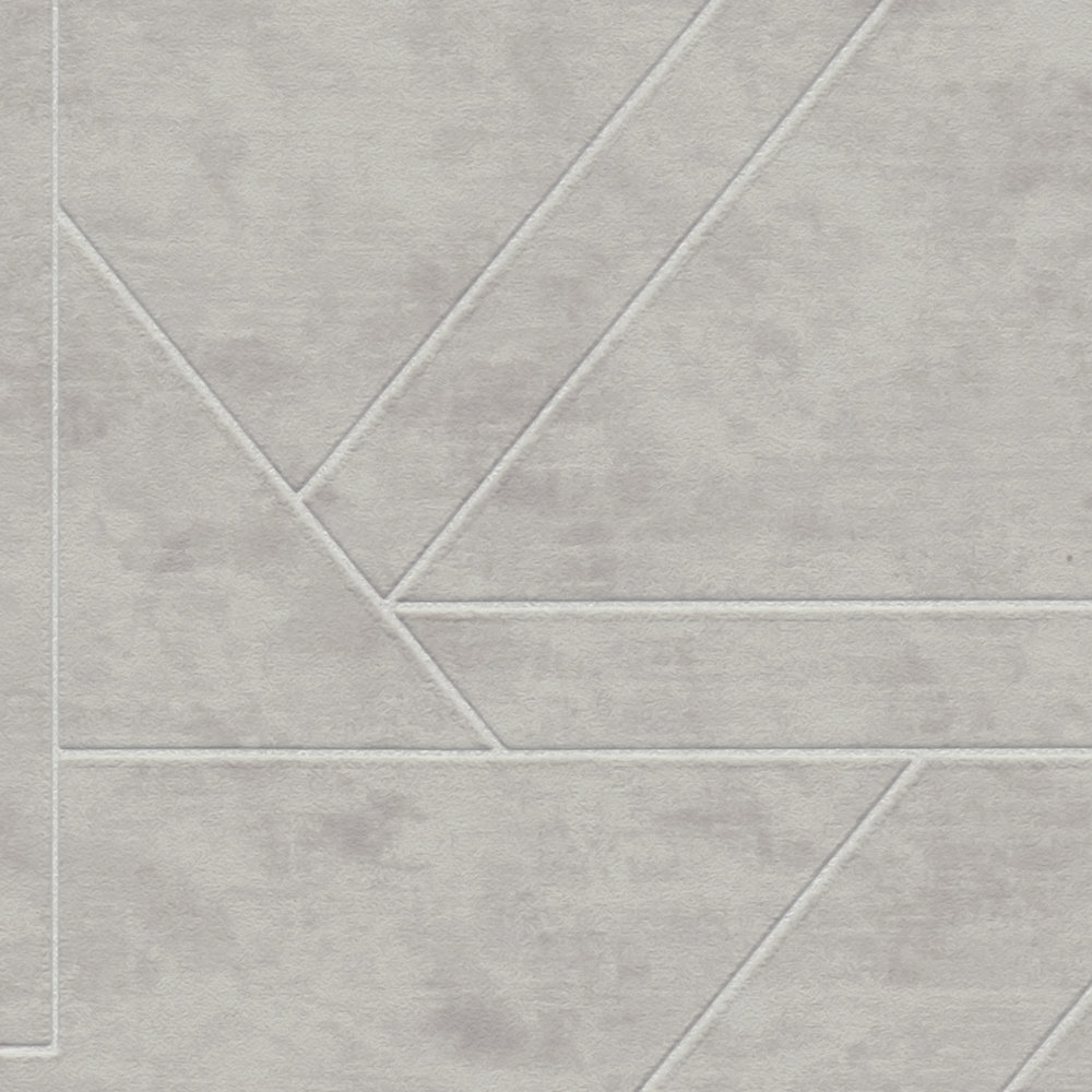             Graphic non-woven wallpaper with line pattern - grey, silver
        