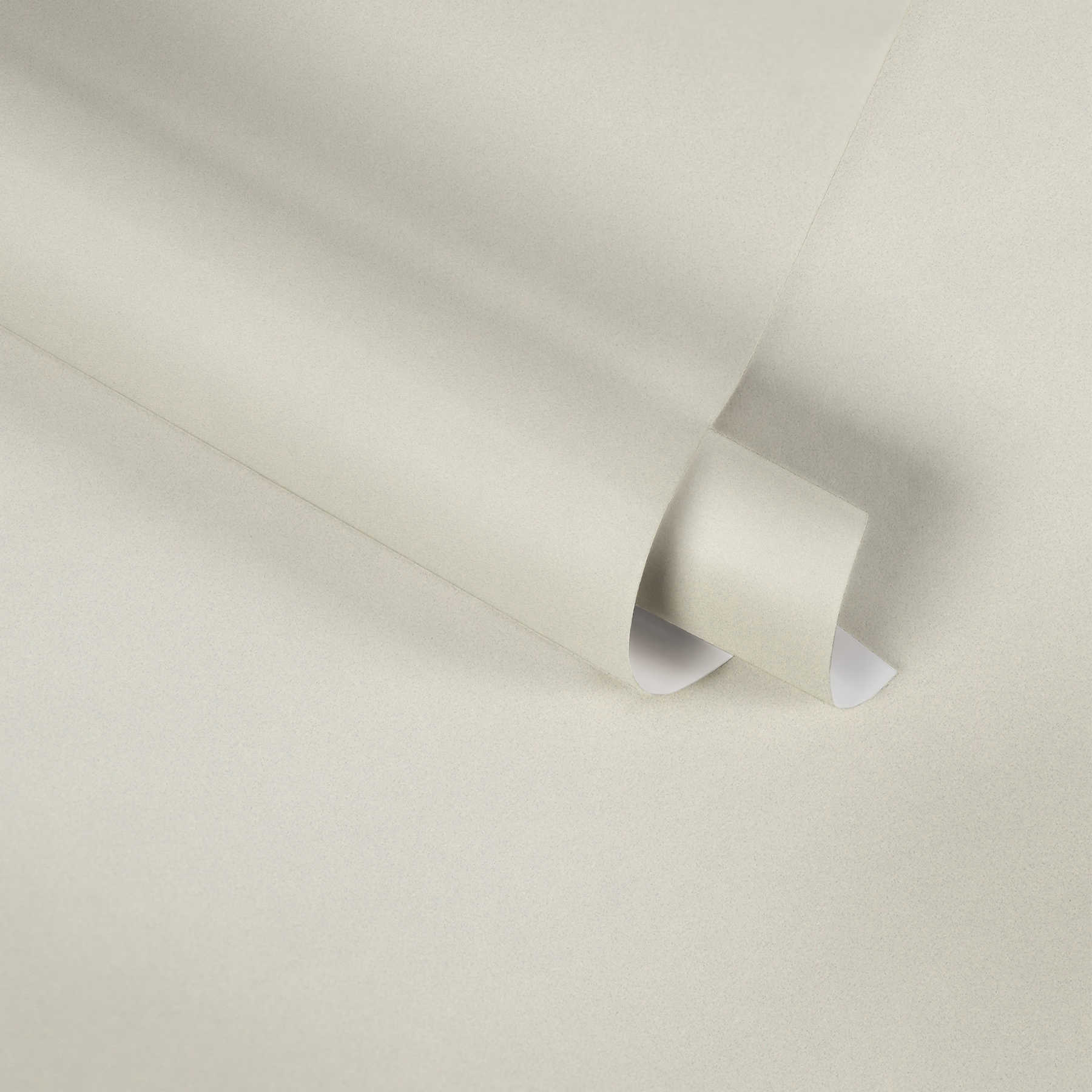             Minimalist plain wallpaper with muted colour - cream
        