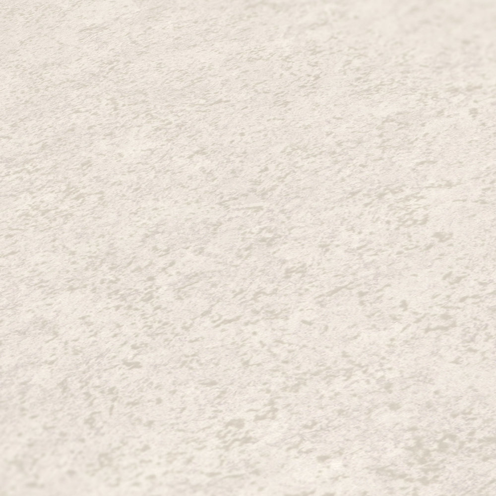            Matt non-woven wallpaper with plaster look - beige, white
        