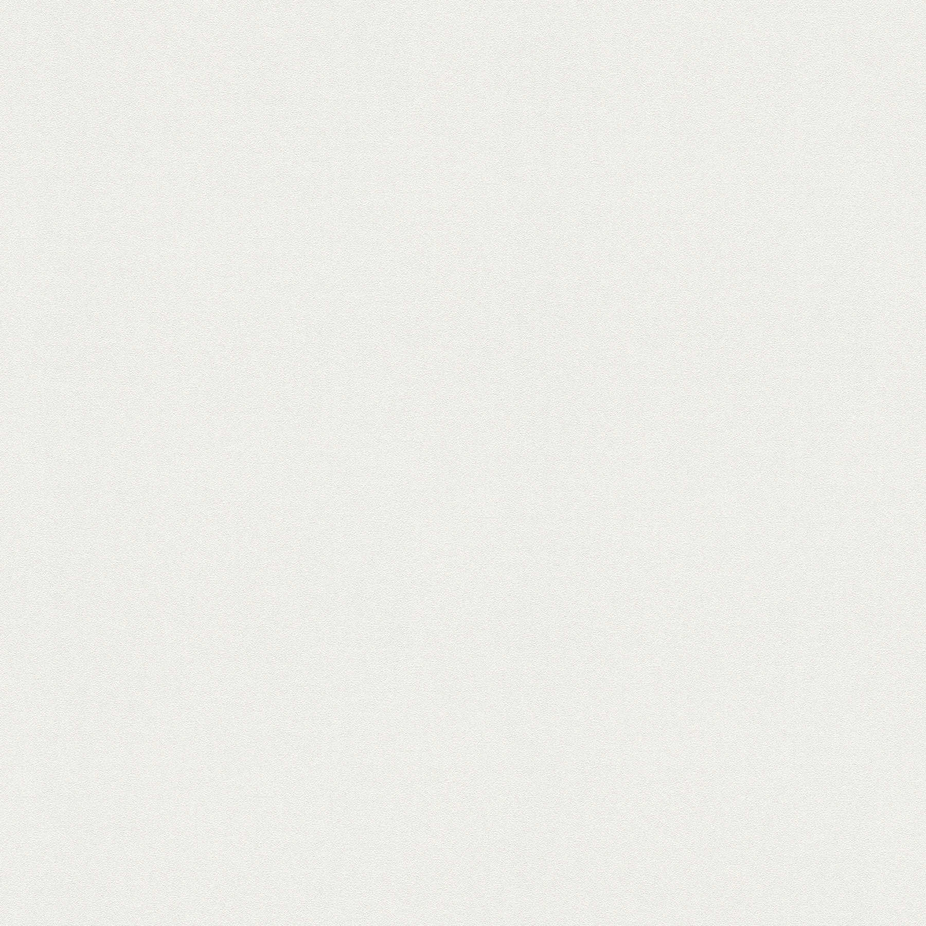 Papier peint intissé neutre uni, clair & lisse - Blanc
