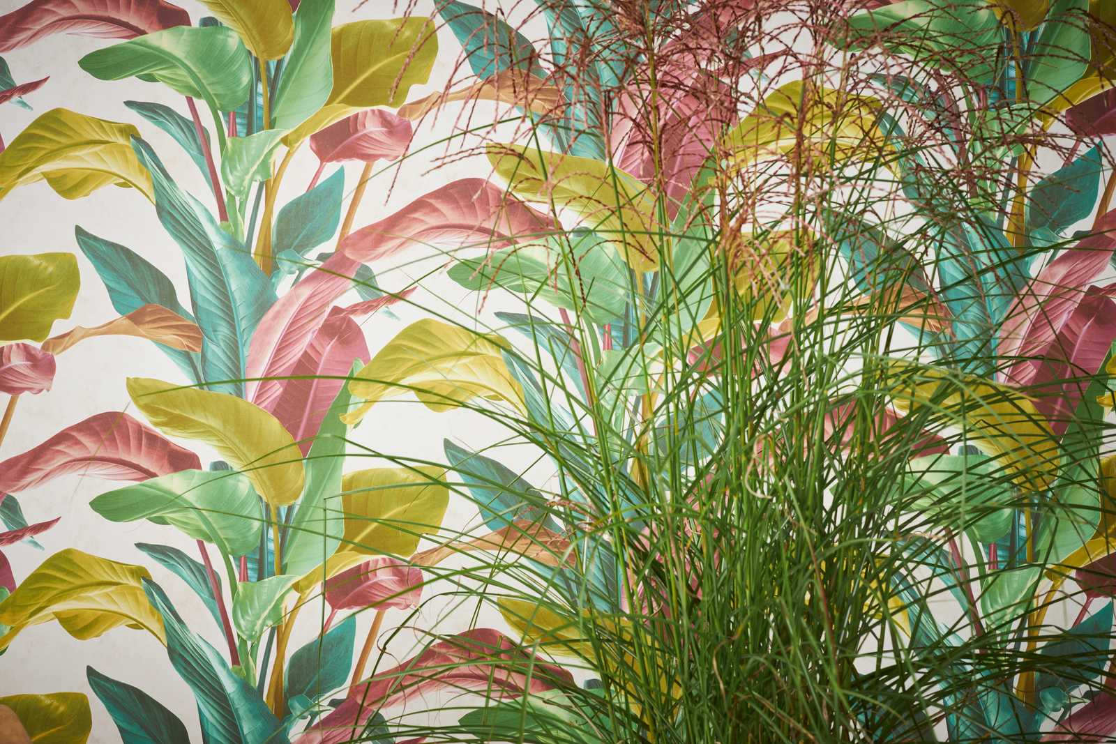             Papel pintado con diseño de hojas en colores vivos - colorido, crema, verde
        