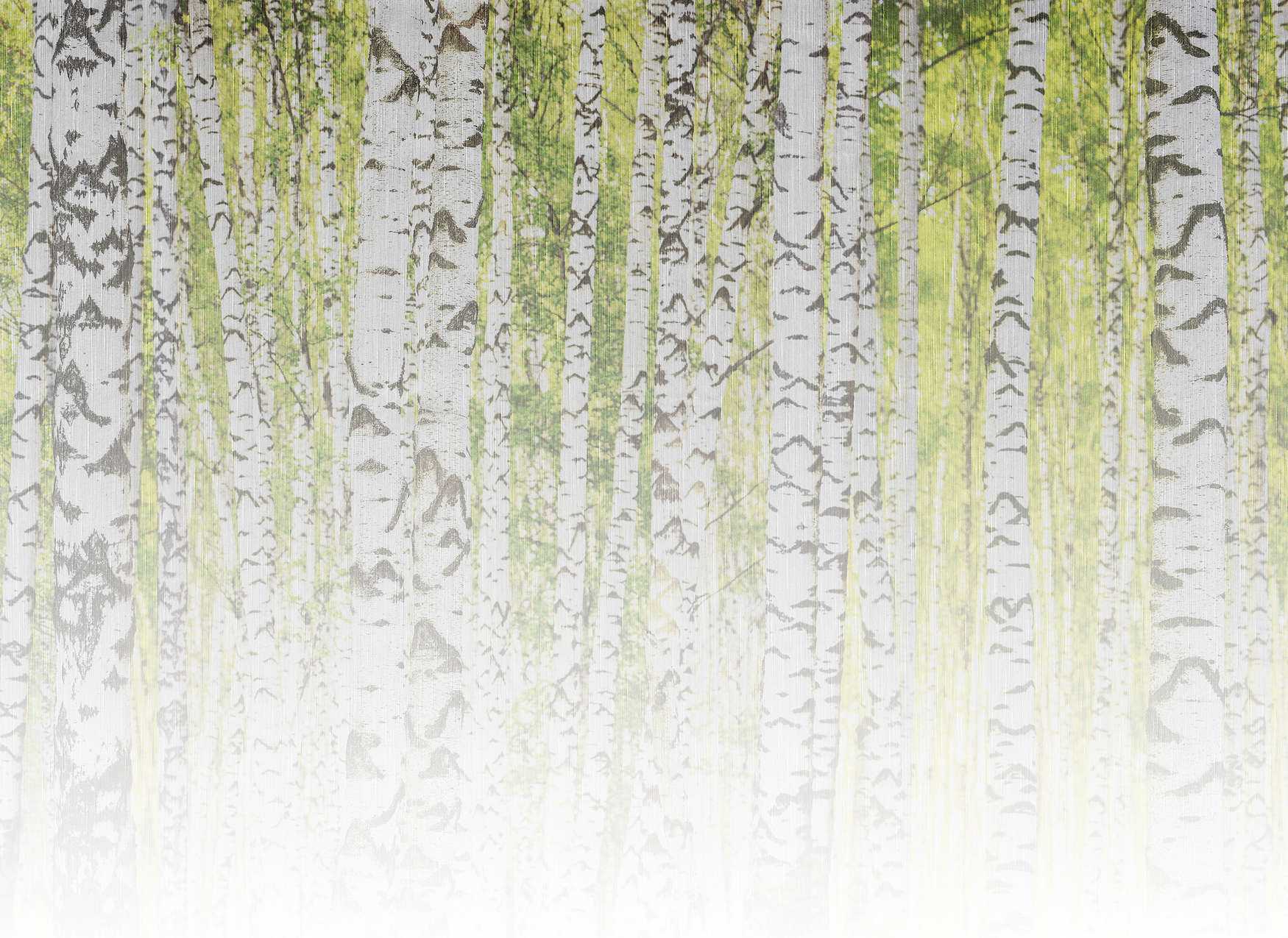             Papier peint panoramique forêt de bouleaux aspect lin - vert, blanc, noir
        