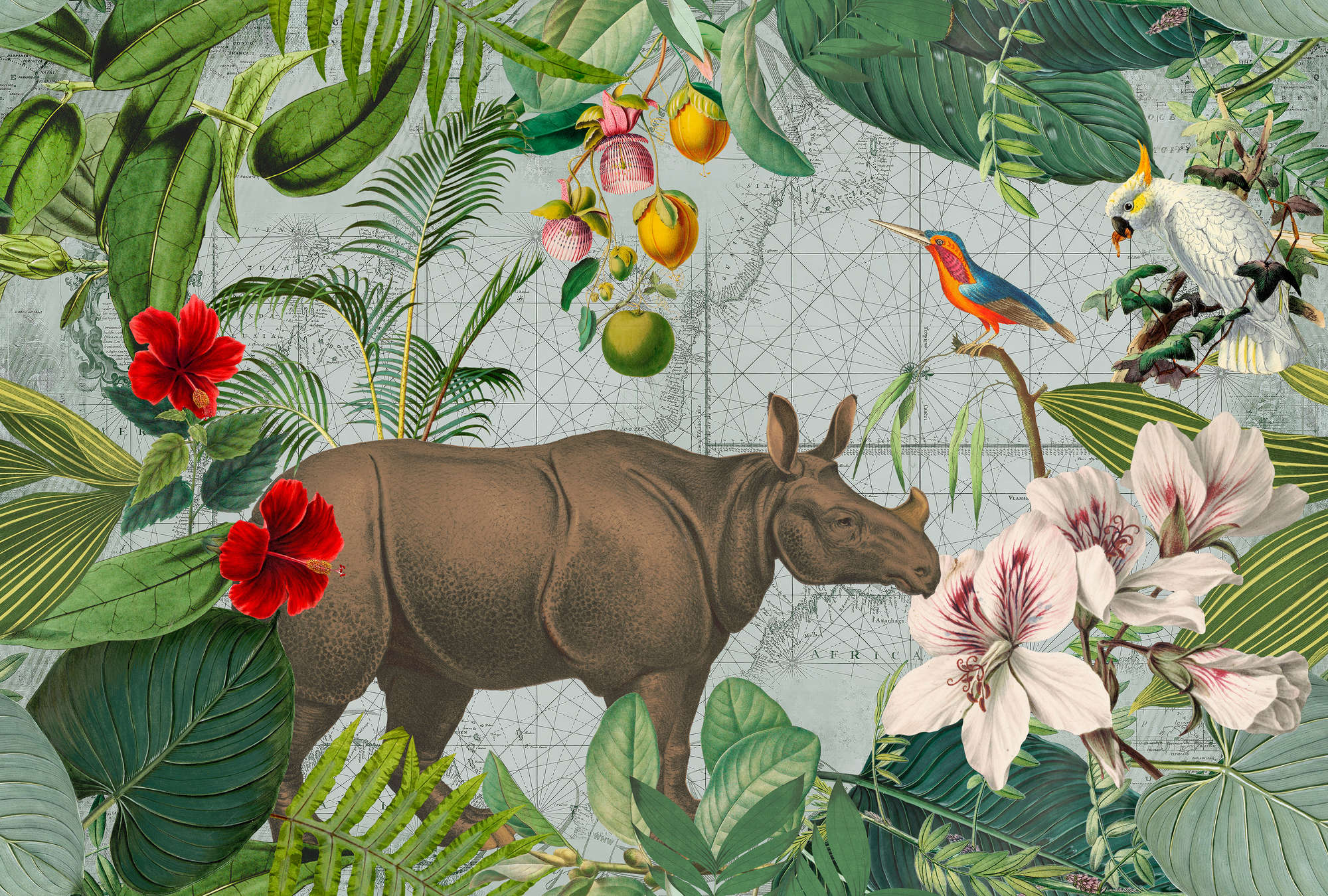             Photo wallpaper rhino with jungle collage in retro style
        