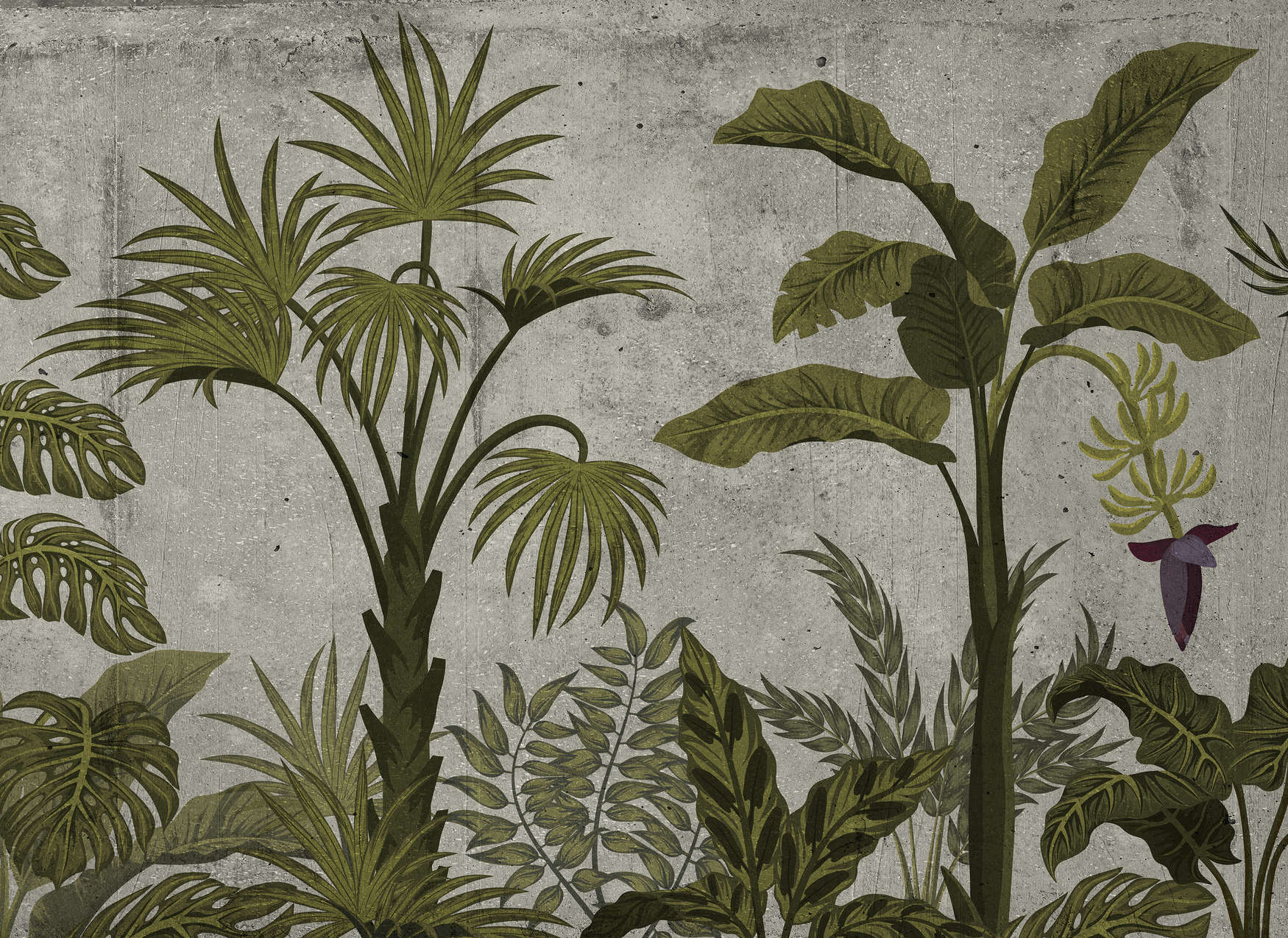             Digital behang met tropisch landschap op betonlook - groen, grijs
        