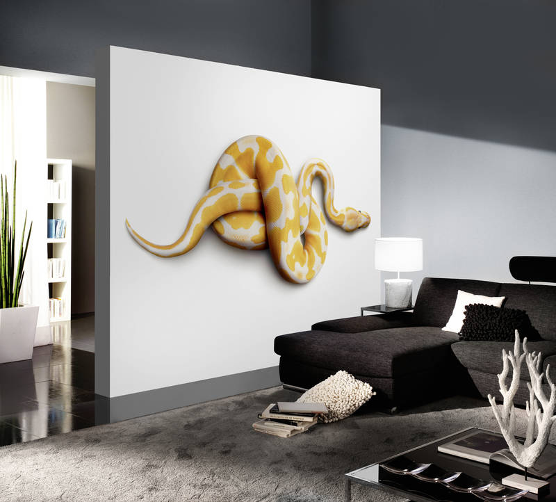             Albino python - photo wallpaper snake
        