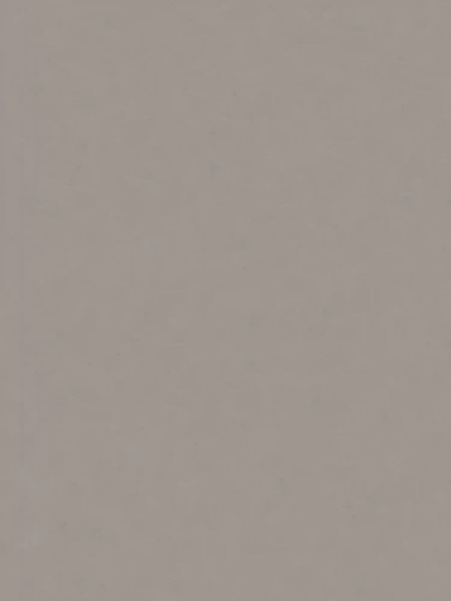 Papel pintado óptico de yeso liso con textura - gris, topo
