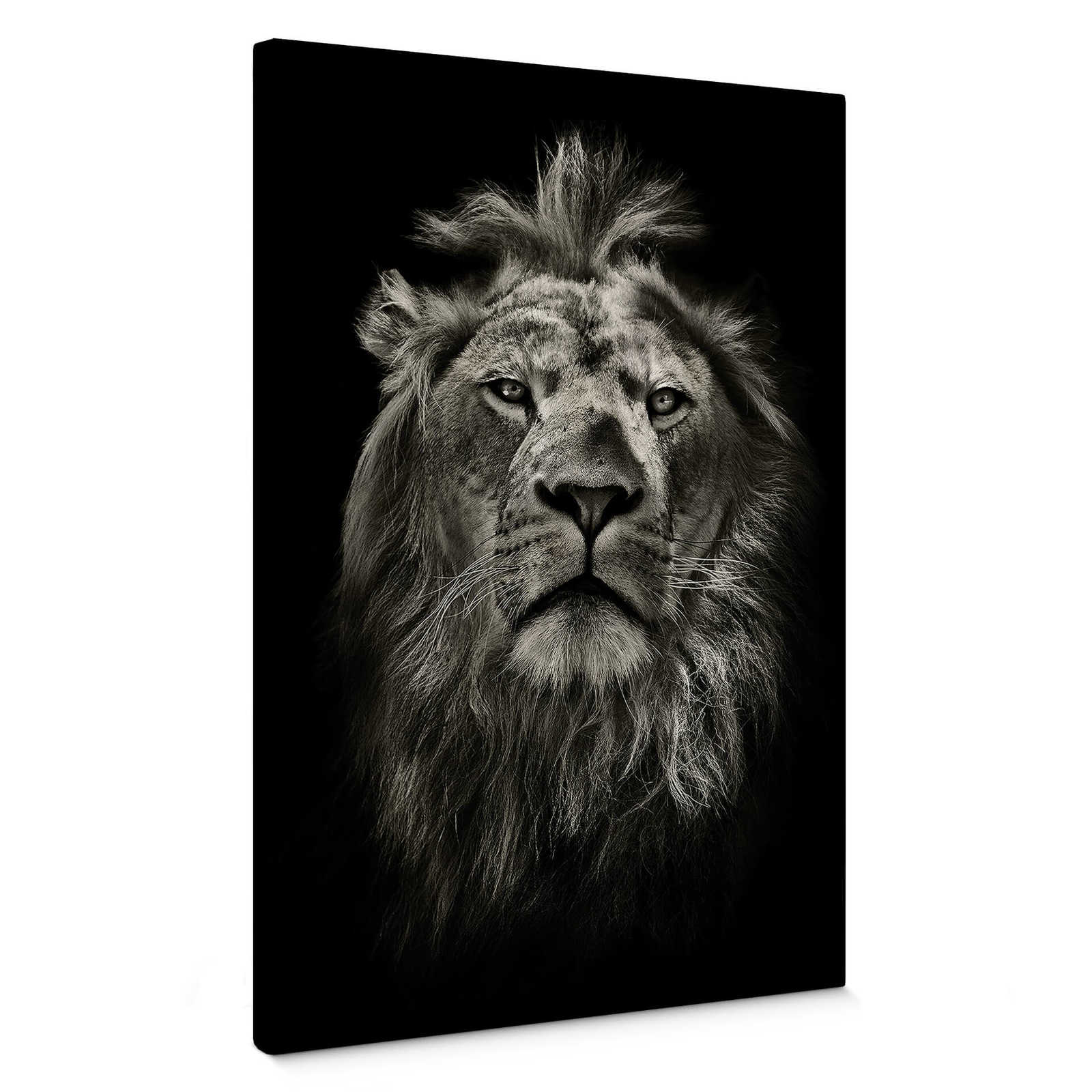 Canvas print Lion portrait – black and white

