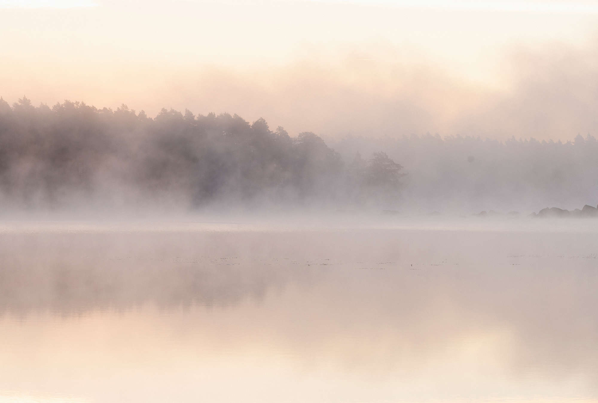             Avalon 2 - Papier peint lac le matin avec brume matinale
        