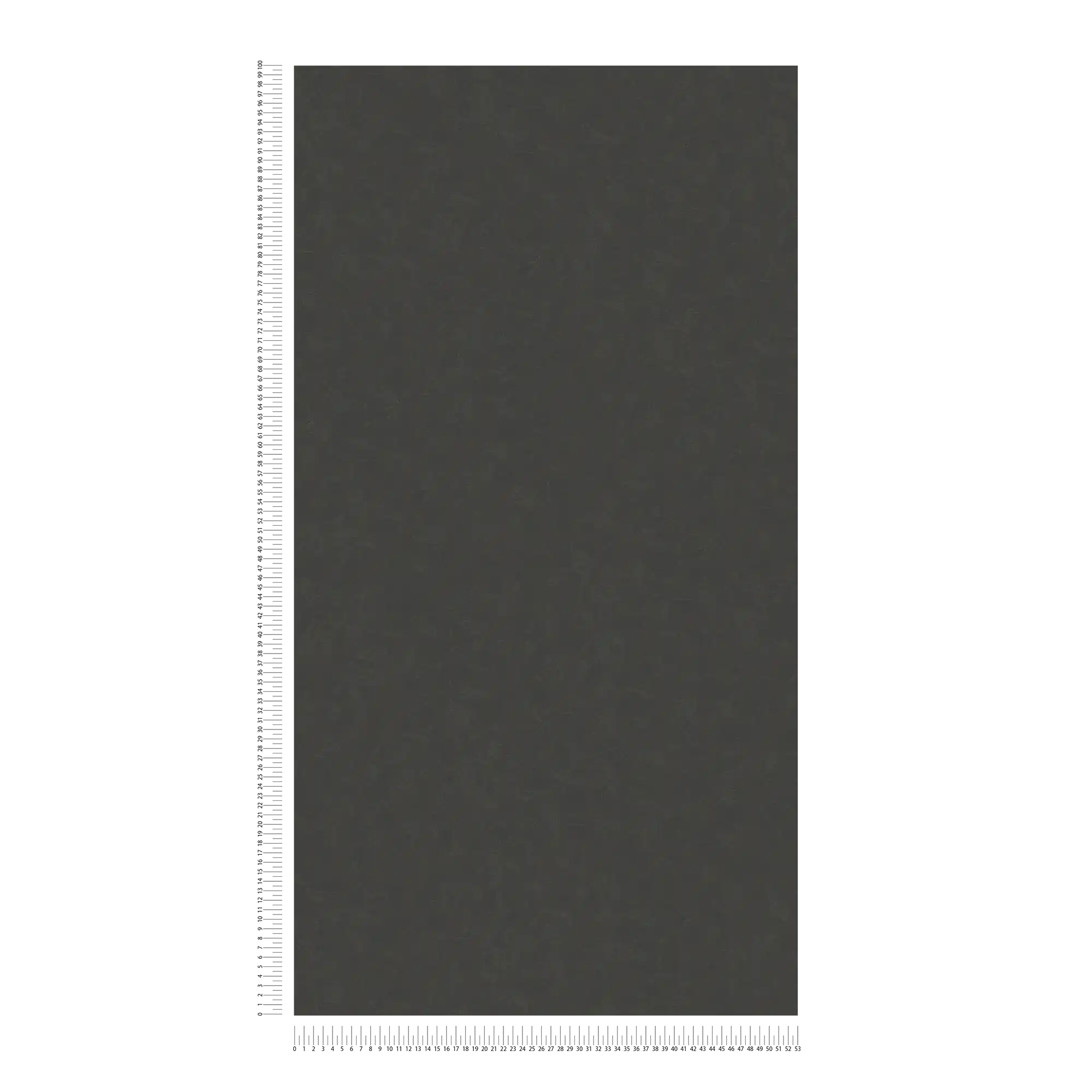             Non-woven wallpaper plain trowel plaster - black, anthracite
        